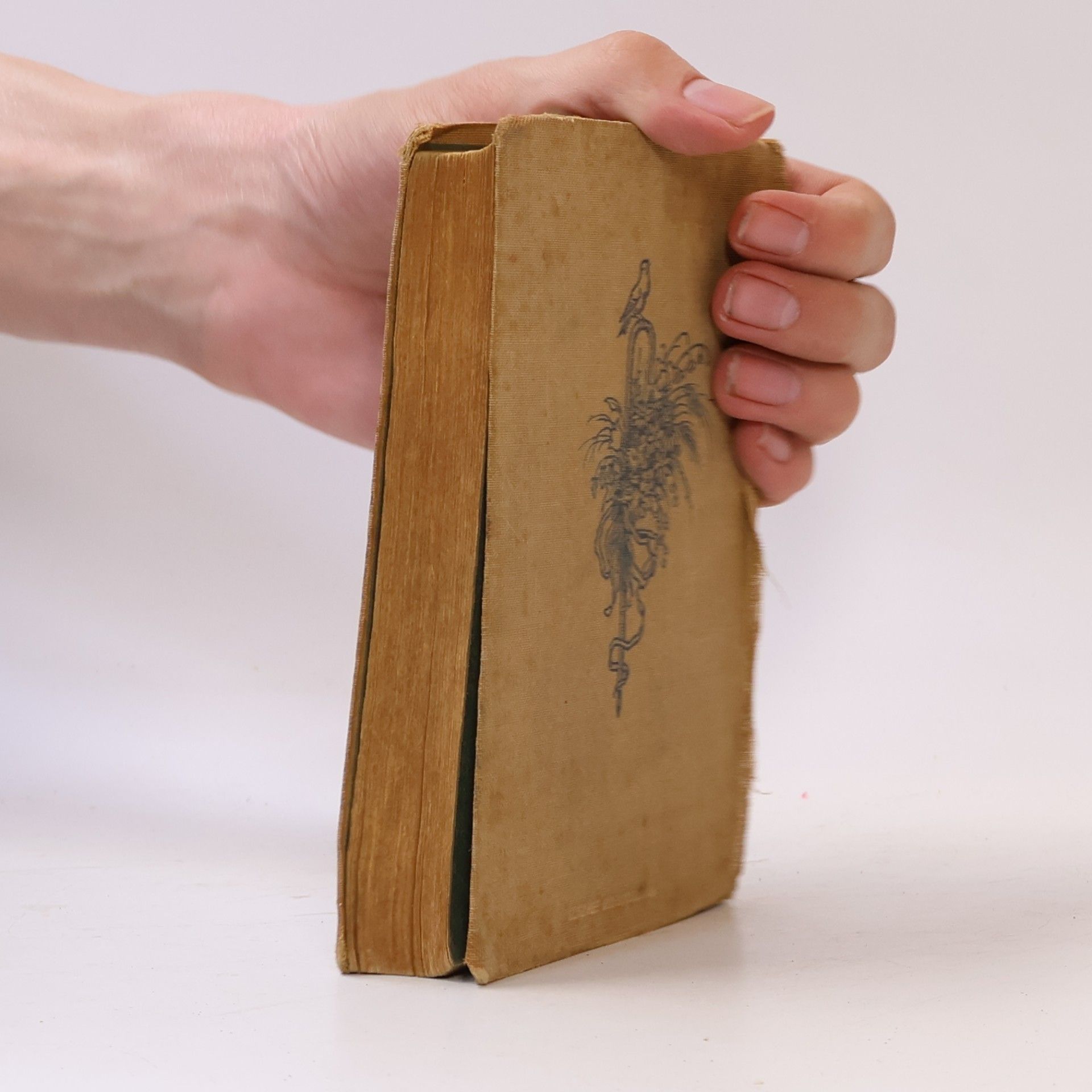 kolektiv Liederbuch
