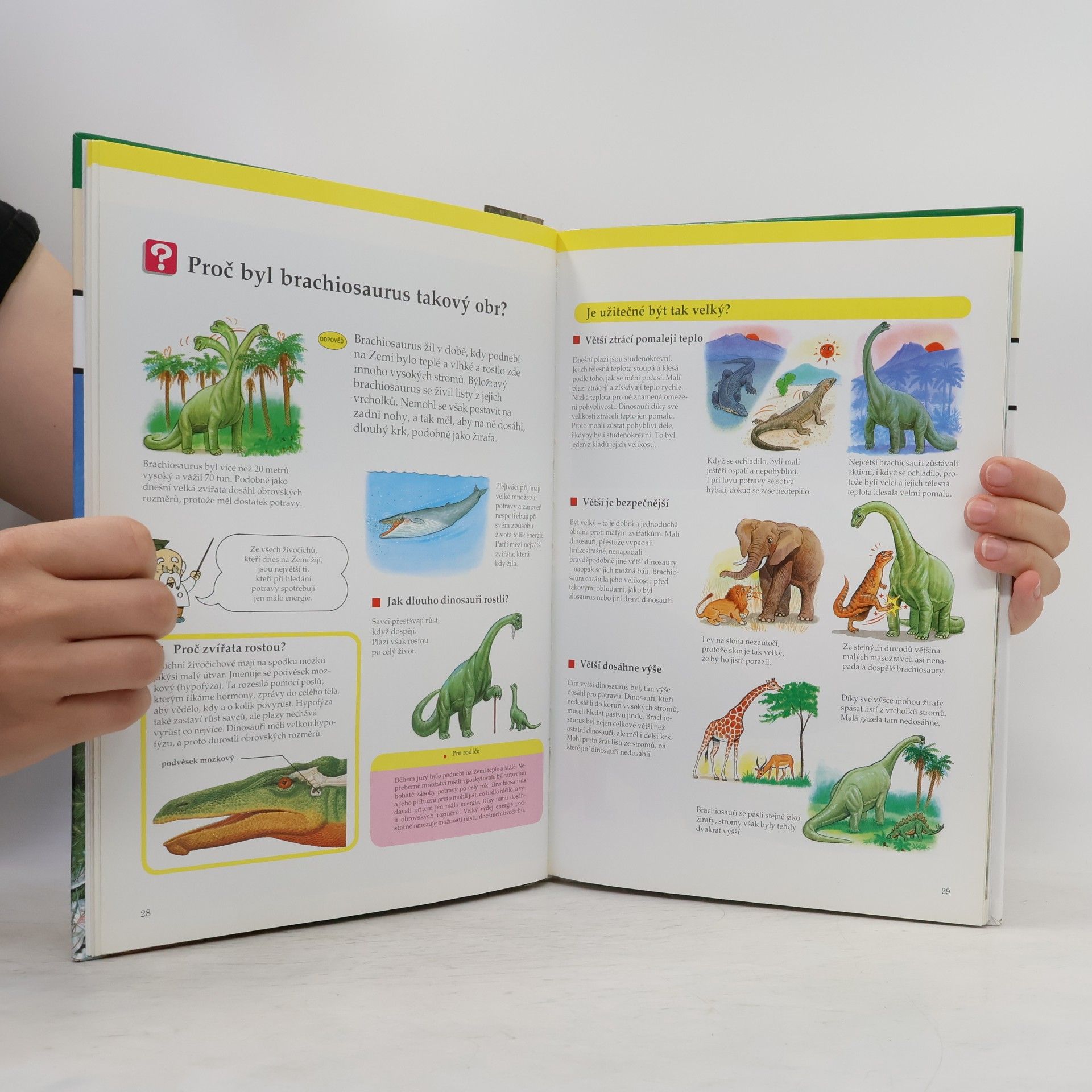 Various authors Dinosauři