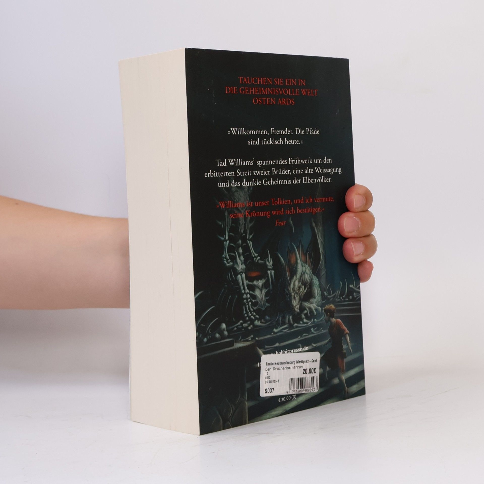 Tad Williams Der Drachenbeinthron. Das Geheimnis der Großen Schwerter 1