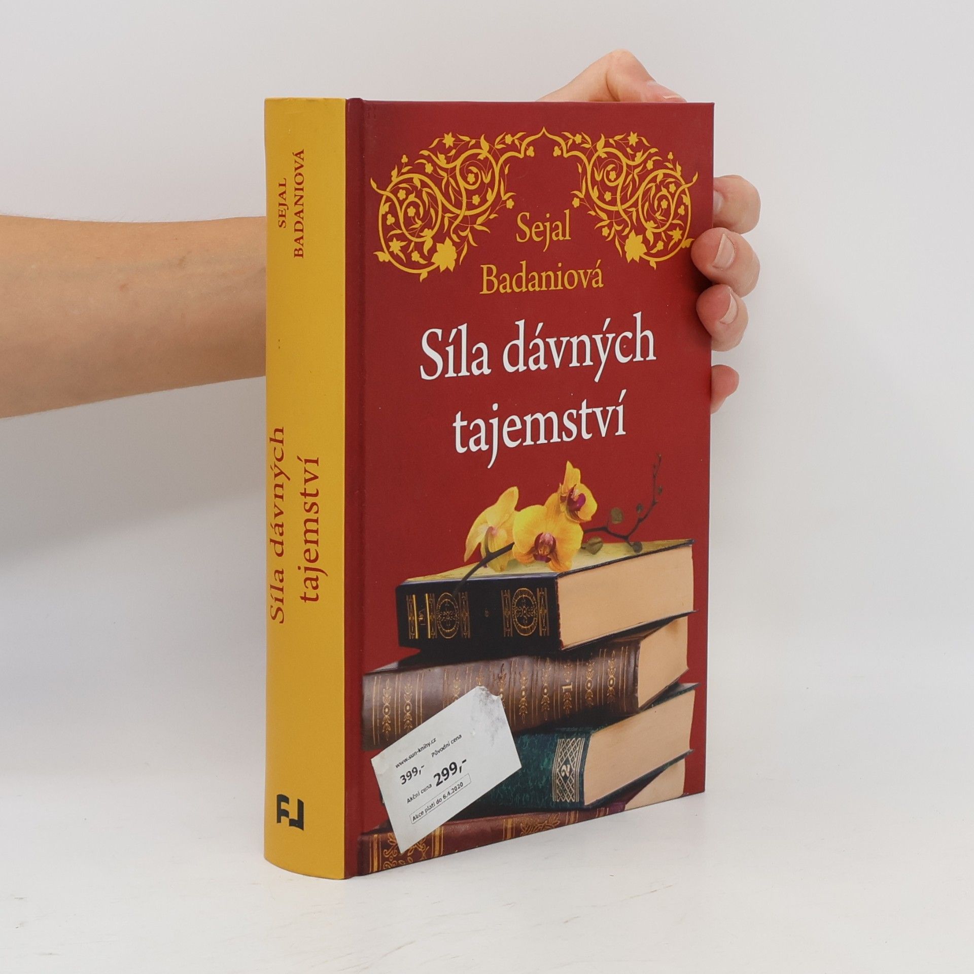 Sejal Badani Síla dávných tajemství