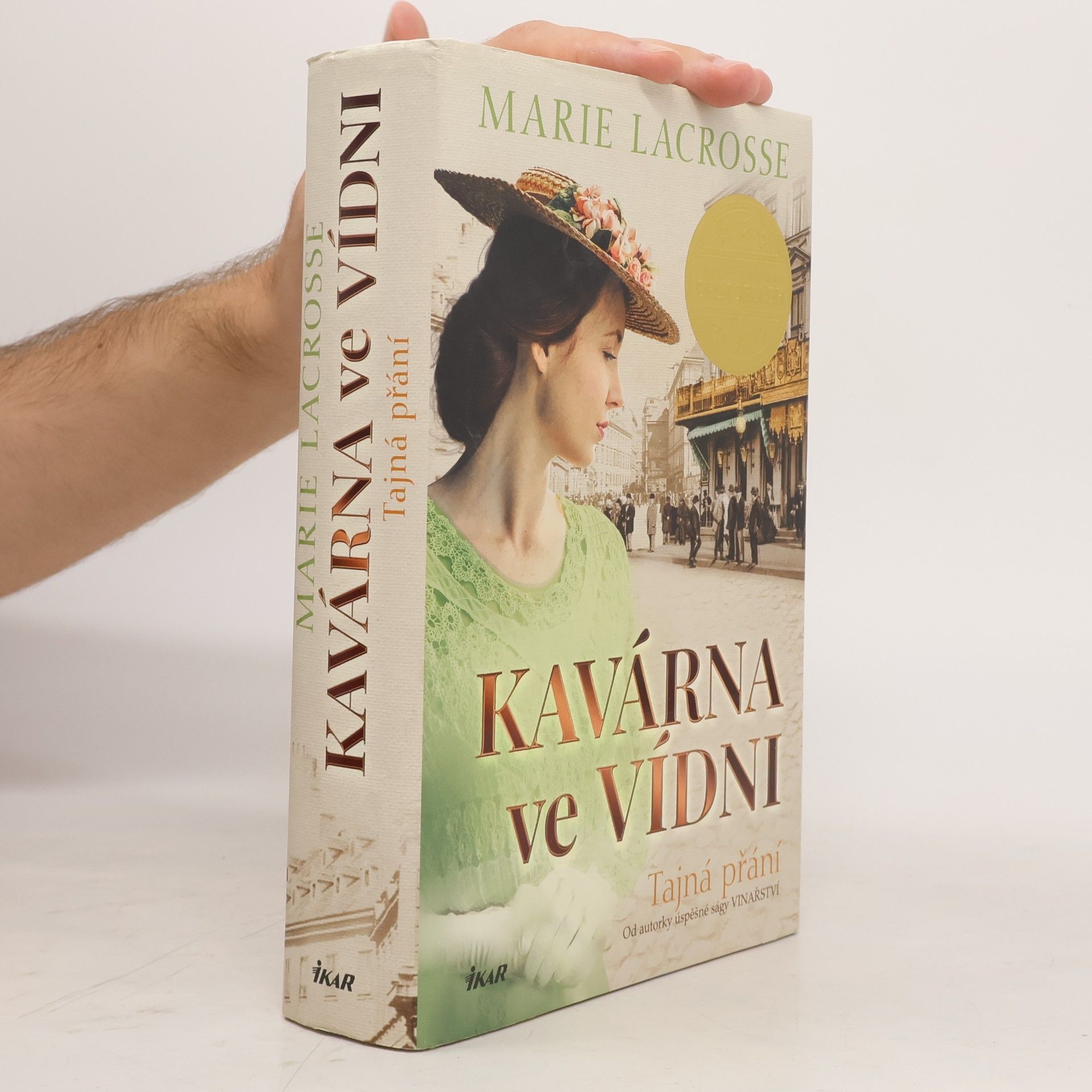Rudolf Řežábek Kavárna ve Vídni. Tajná přání