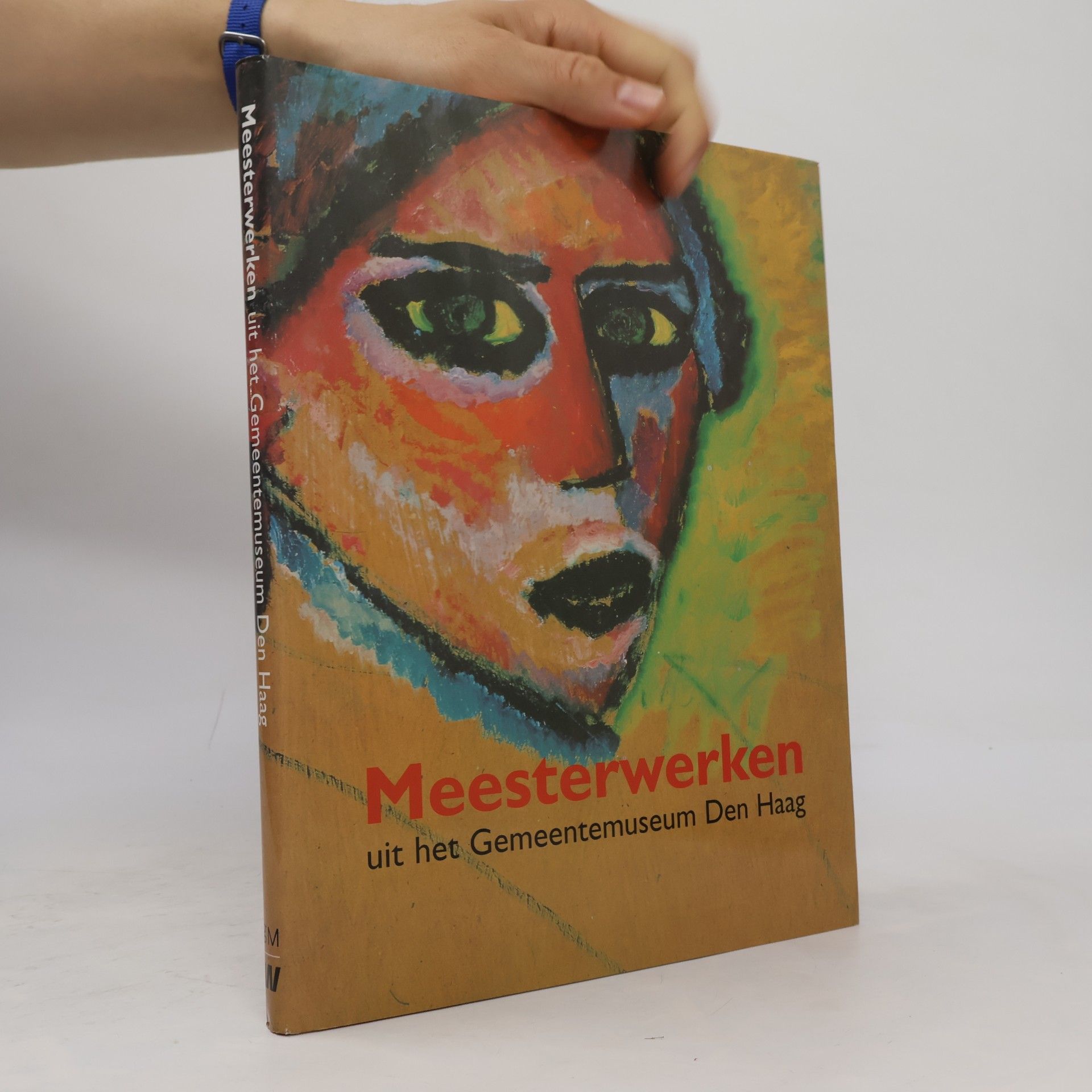 Autorenkollektiv Meesterwerken uit het Gemeentemuseum Den Haag