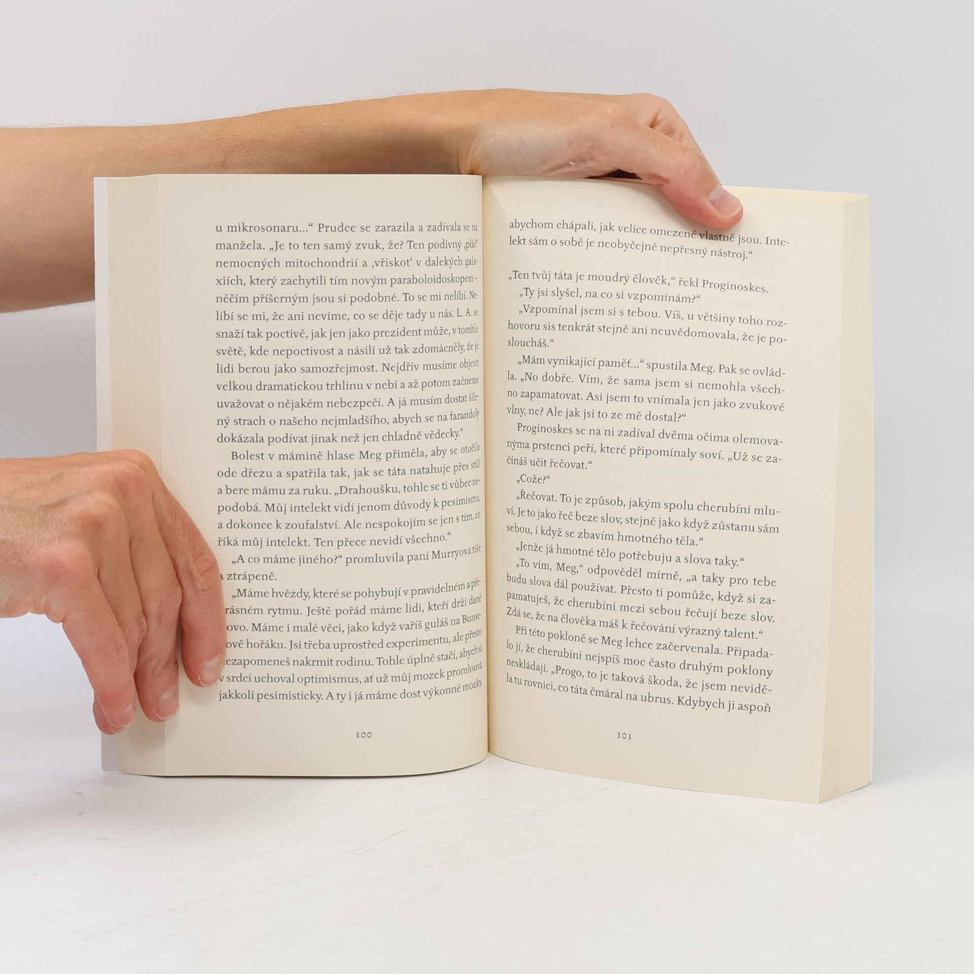 Madeleine L’Engle Vítr ve dveřích