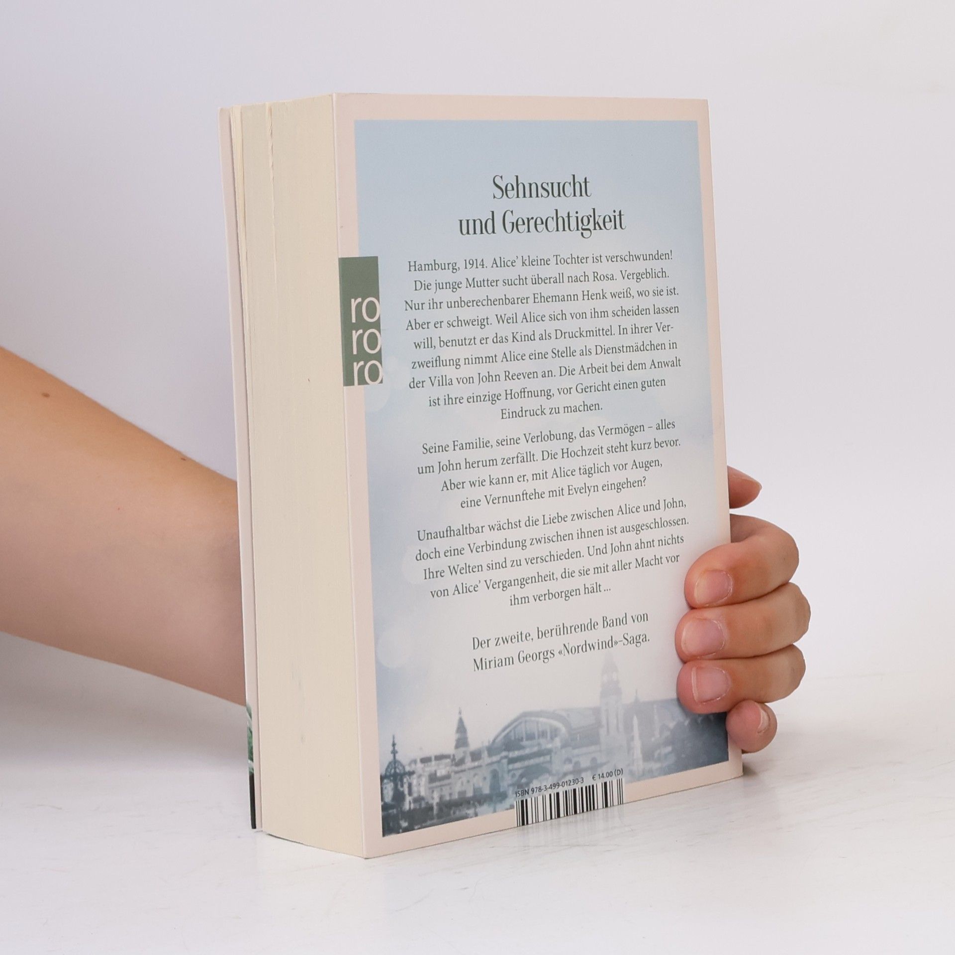 Miriam Georg Im Nordlicht / Nordwind-Saga Bd.2