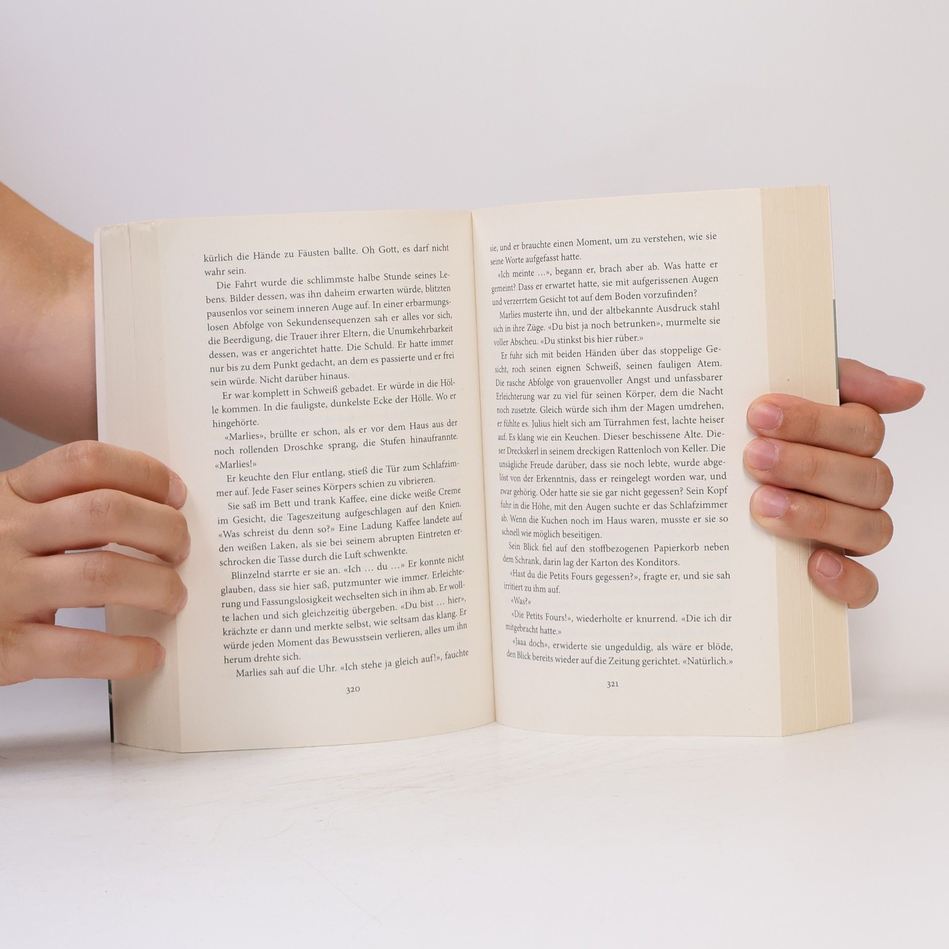 Miriam Georg Im Nordlicht / Nordwind-Saga Bd.2