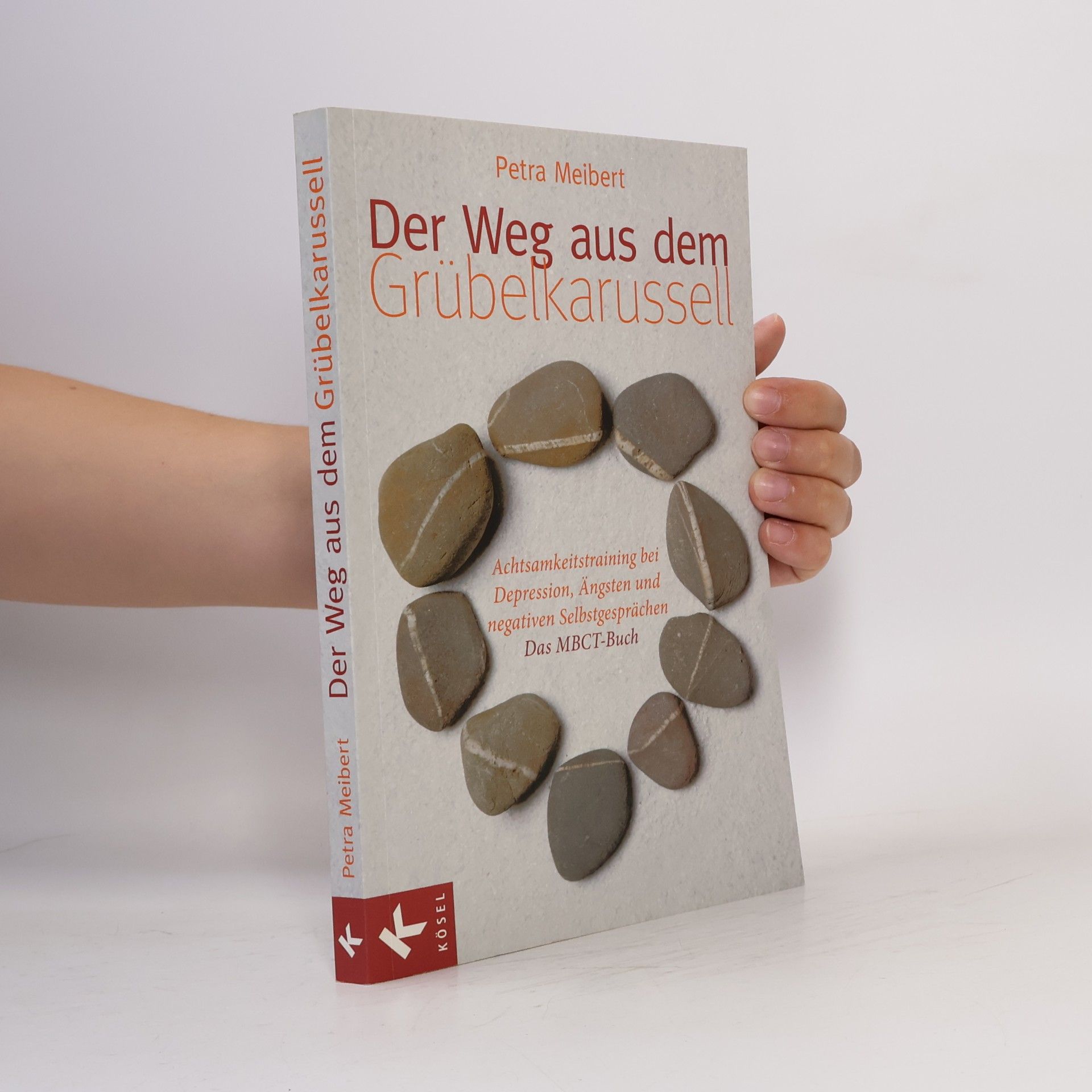 Petra Meibert Der Weg aus dem Grübelkarussell