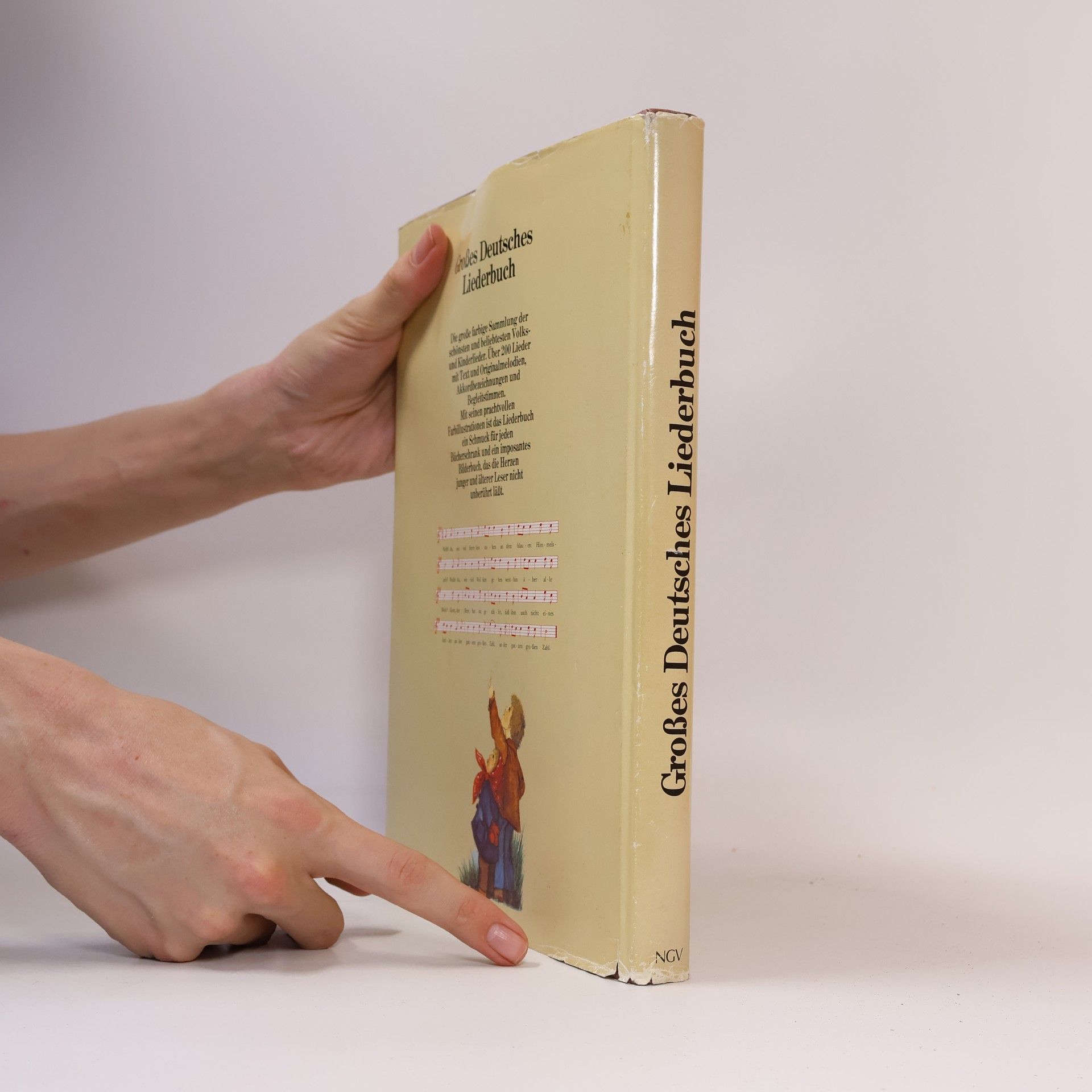 AA.VV. Großes Deutsches Liederbuch