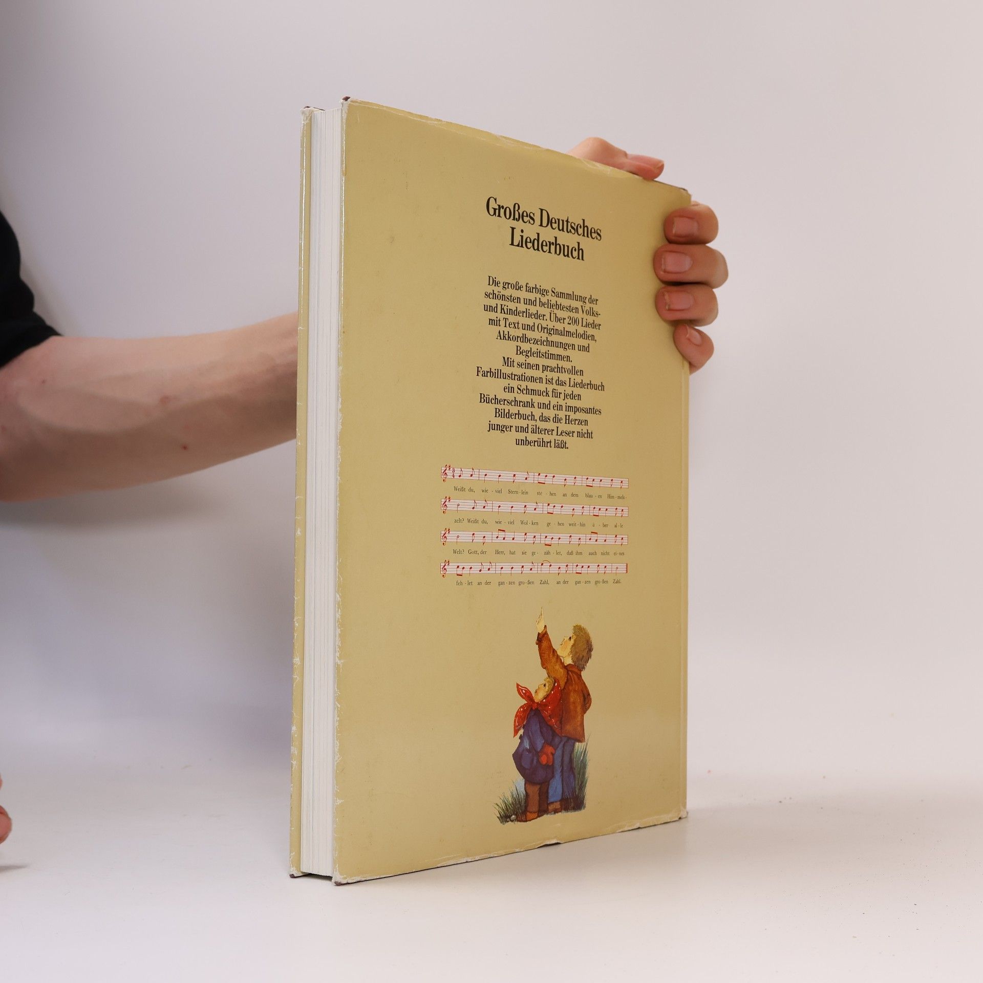AA.VV. Großes Deutsches Liederbuch