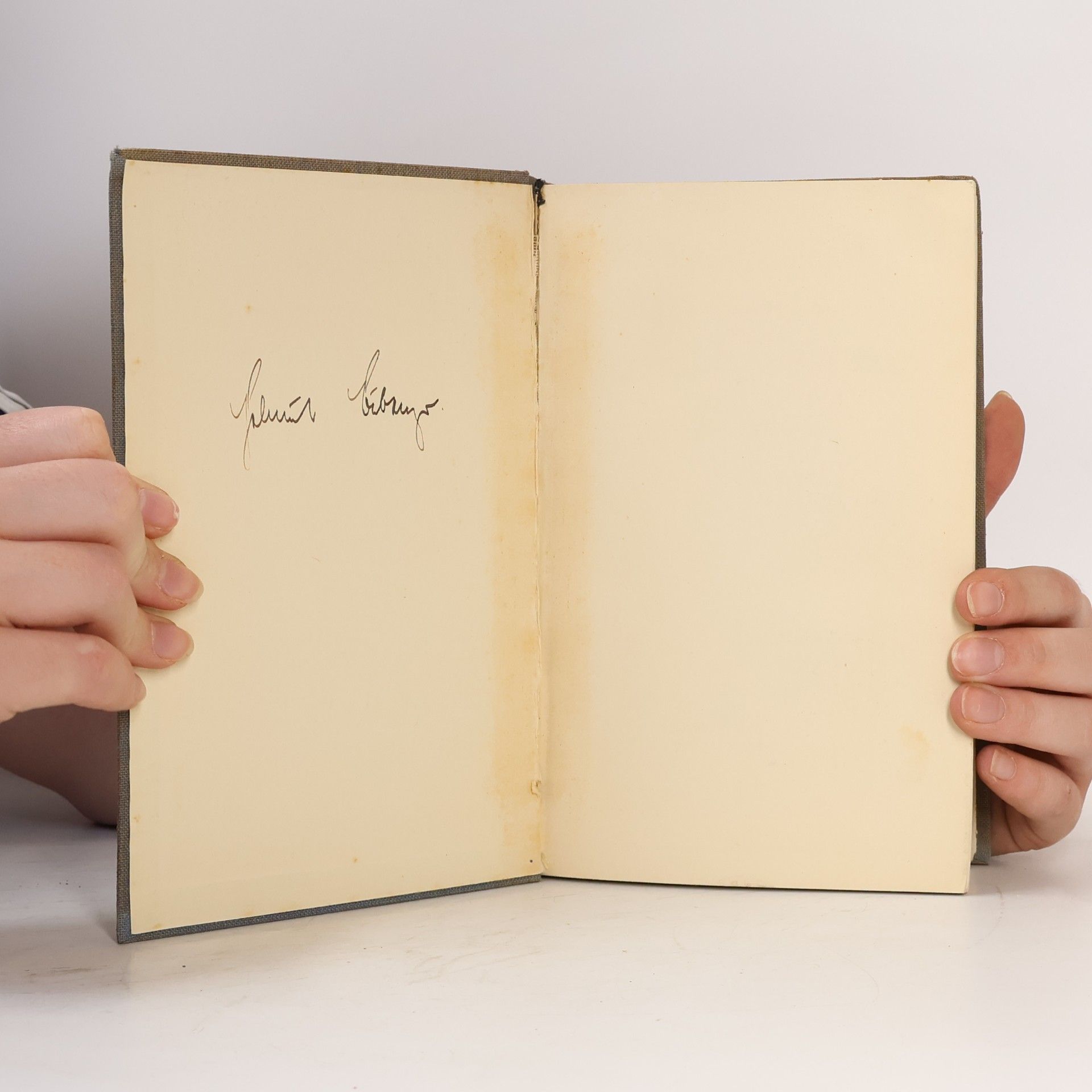 Jacob Burckhardt Kultur und Kunst der Renaissance in Italien