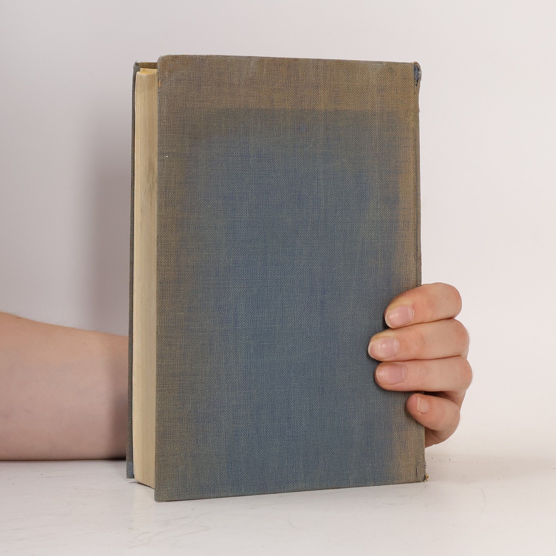 Jacob Burckhardt Kultur und Kunst der Renaissance in Italien