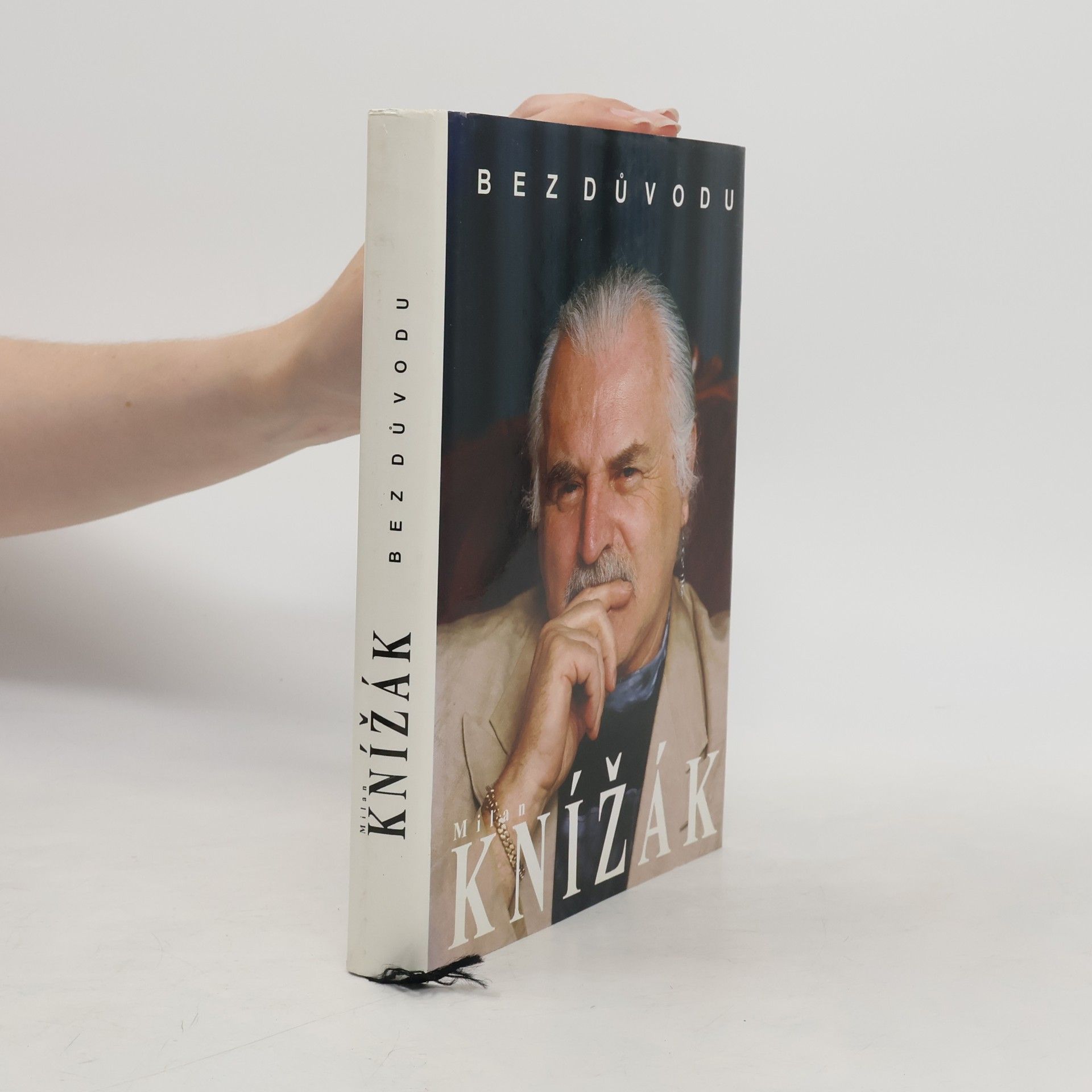 Milan Knížák Bez důvodu