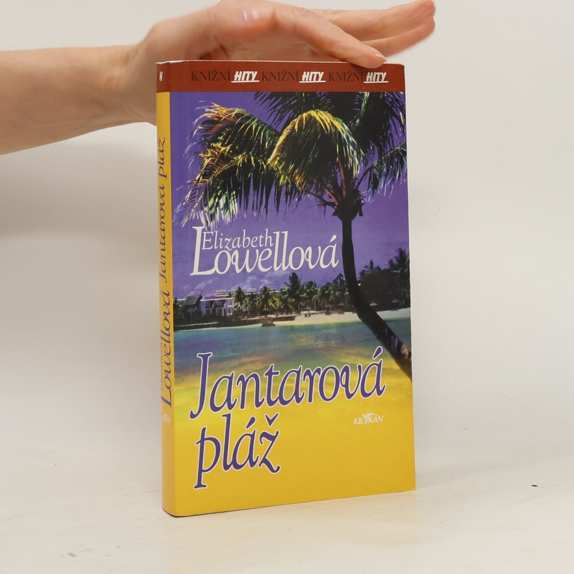 Ann Maxwell Jantarová pláž