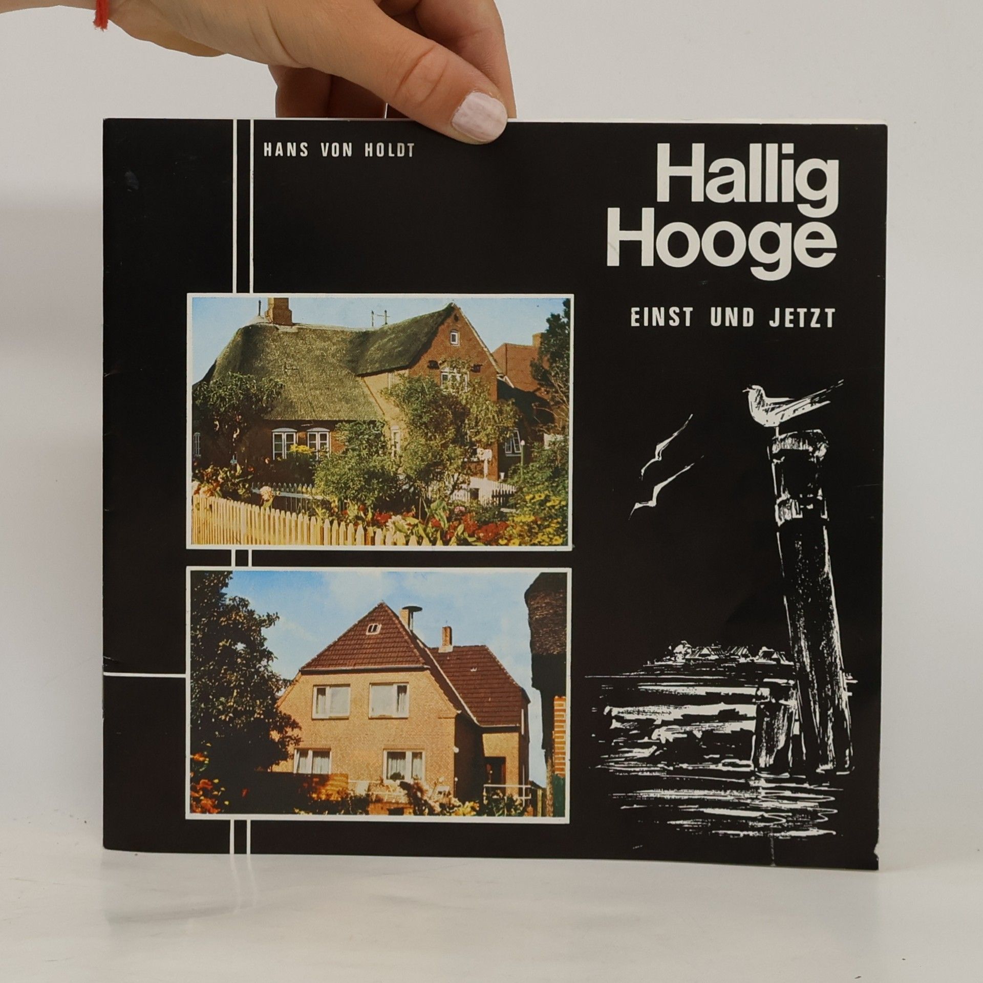 Hans von Holdt Hallig Hooge