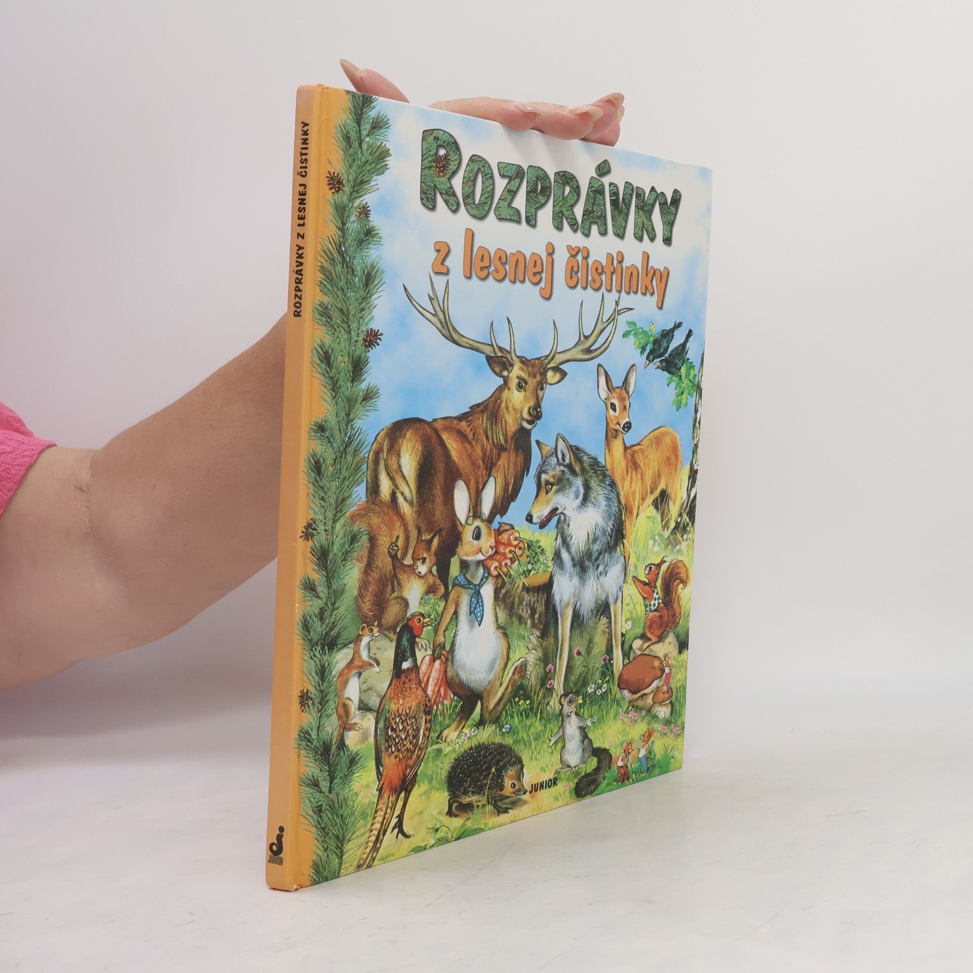 Collectif d'auteurs Rozprávky z lesnej čistinky