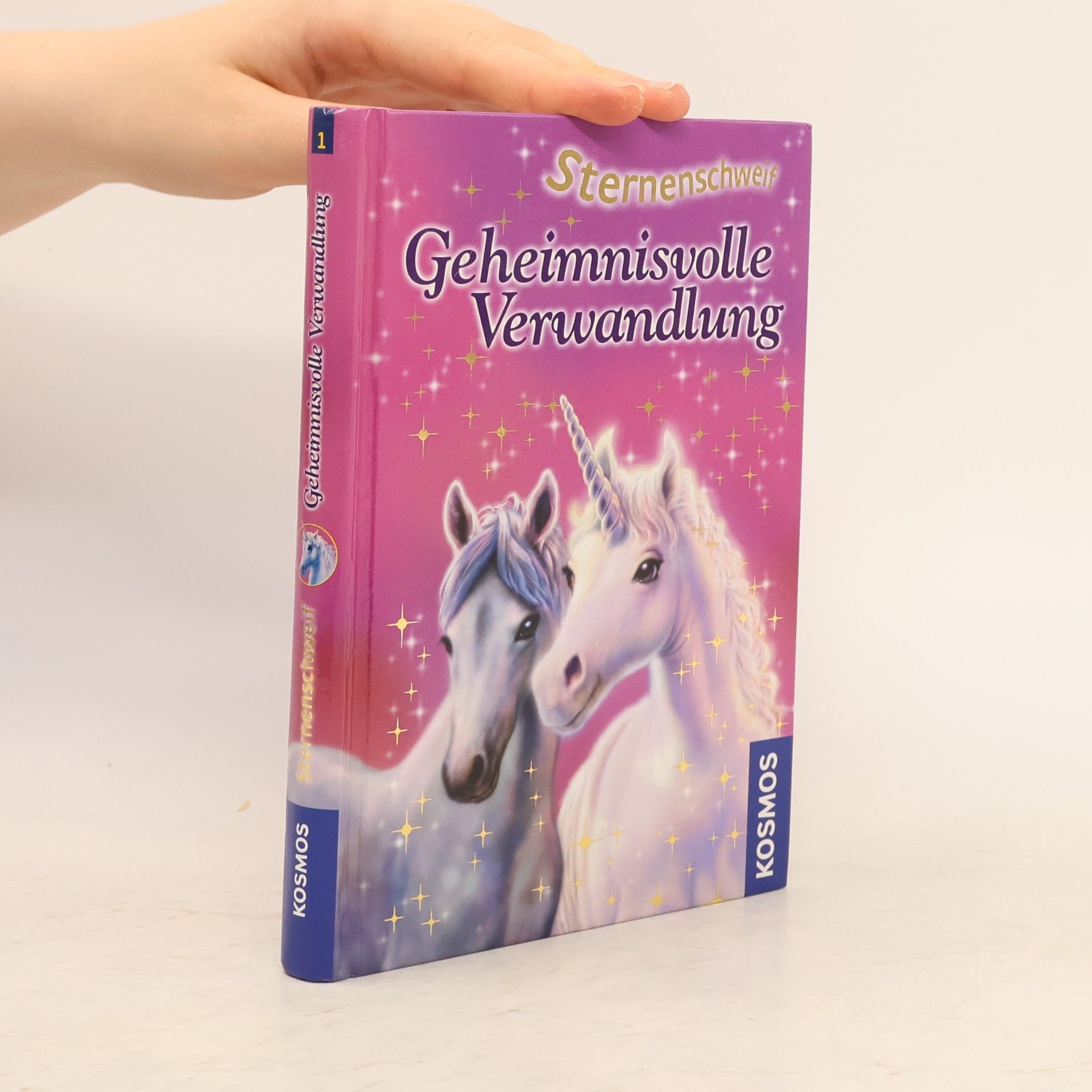Linda Chapman Geheimnisvolle Verwandlung