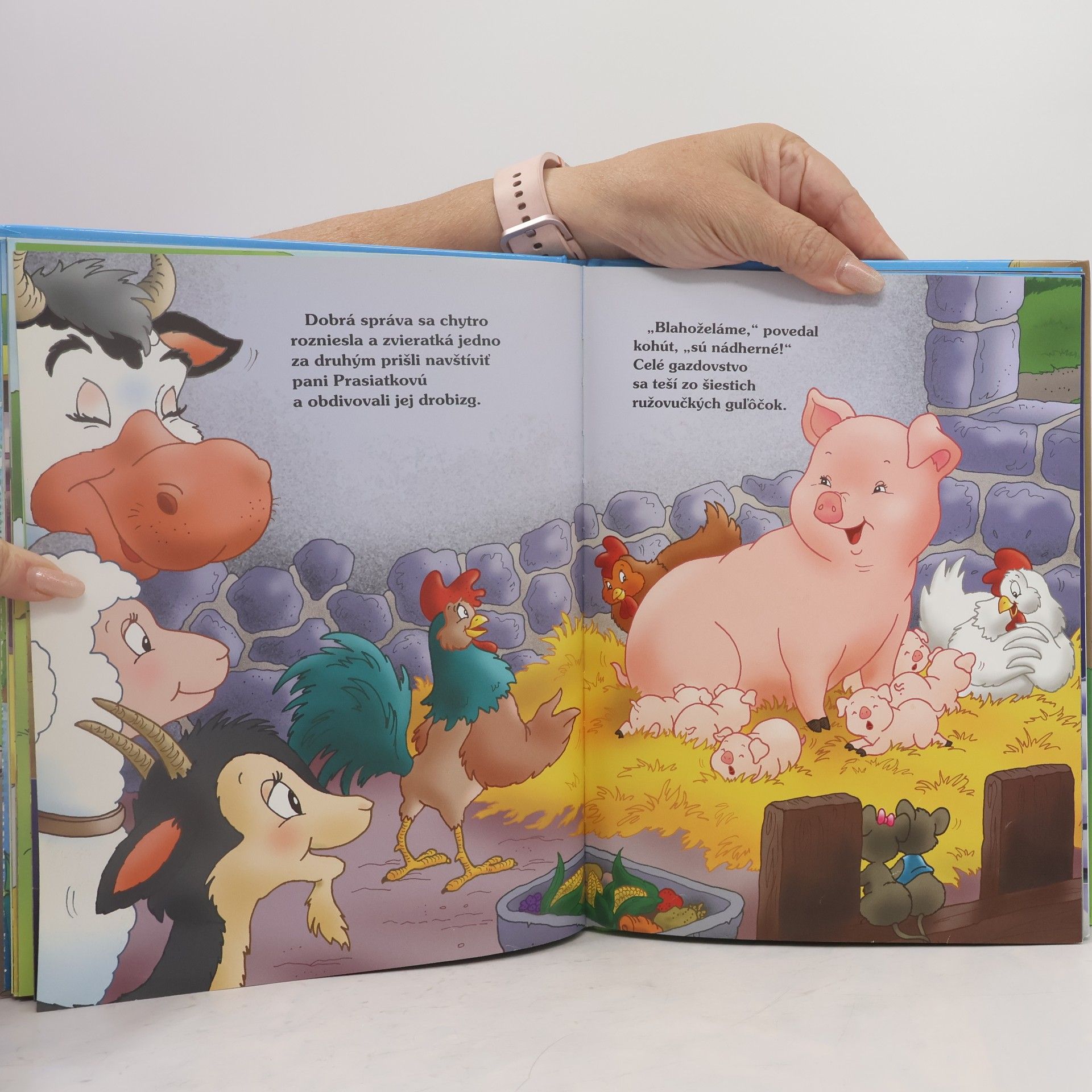 Isabella Camino Nové príbehy z dvora veselého gazdu Fera