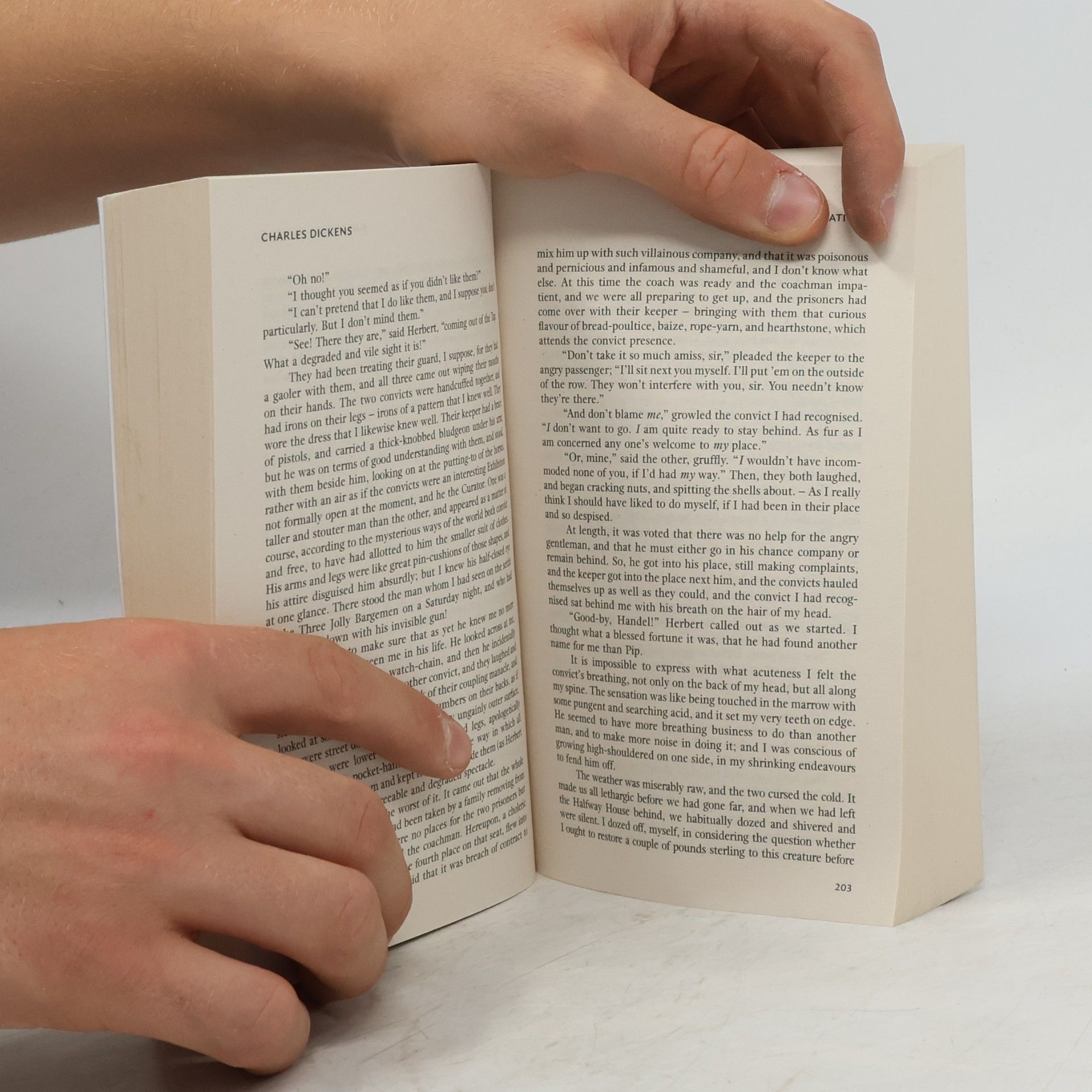 Charles Dickens Great expectations