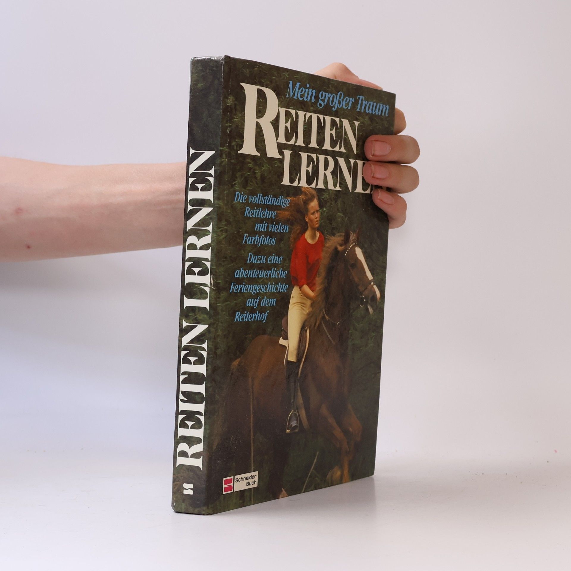 Reiten lernen