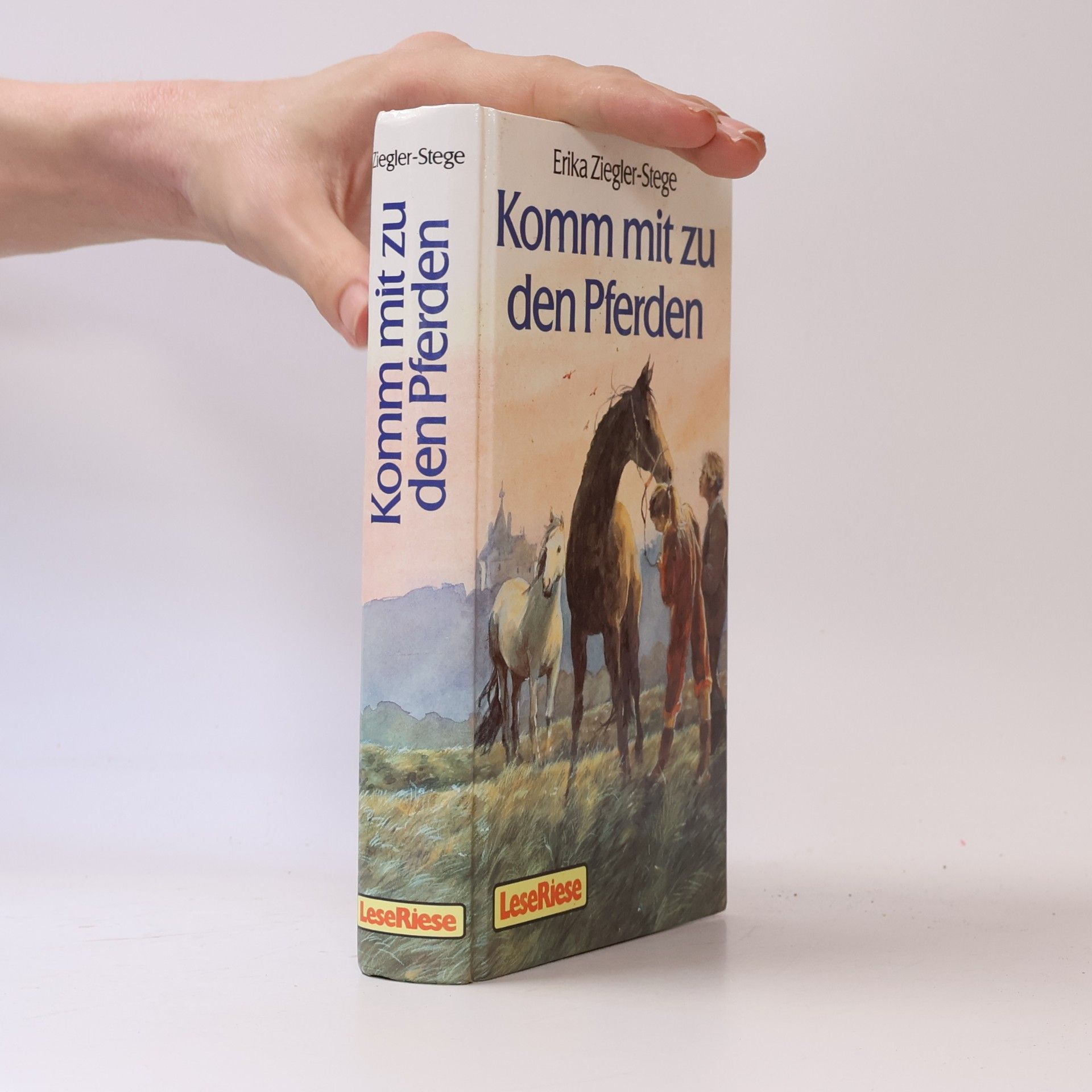 Komm mit zu den Pferden