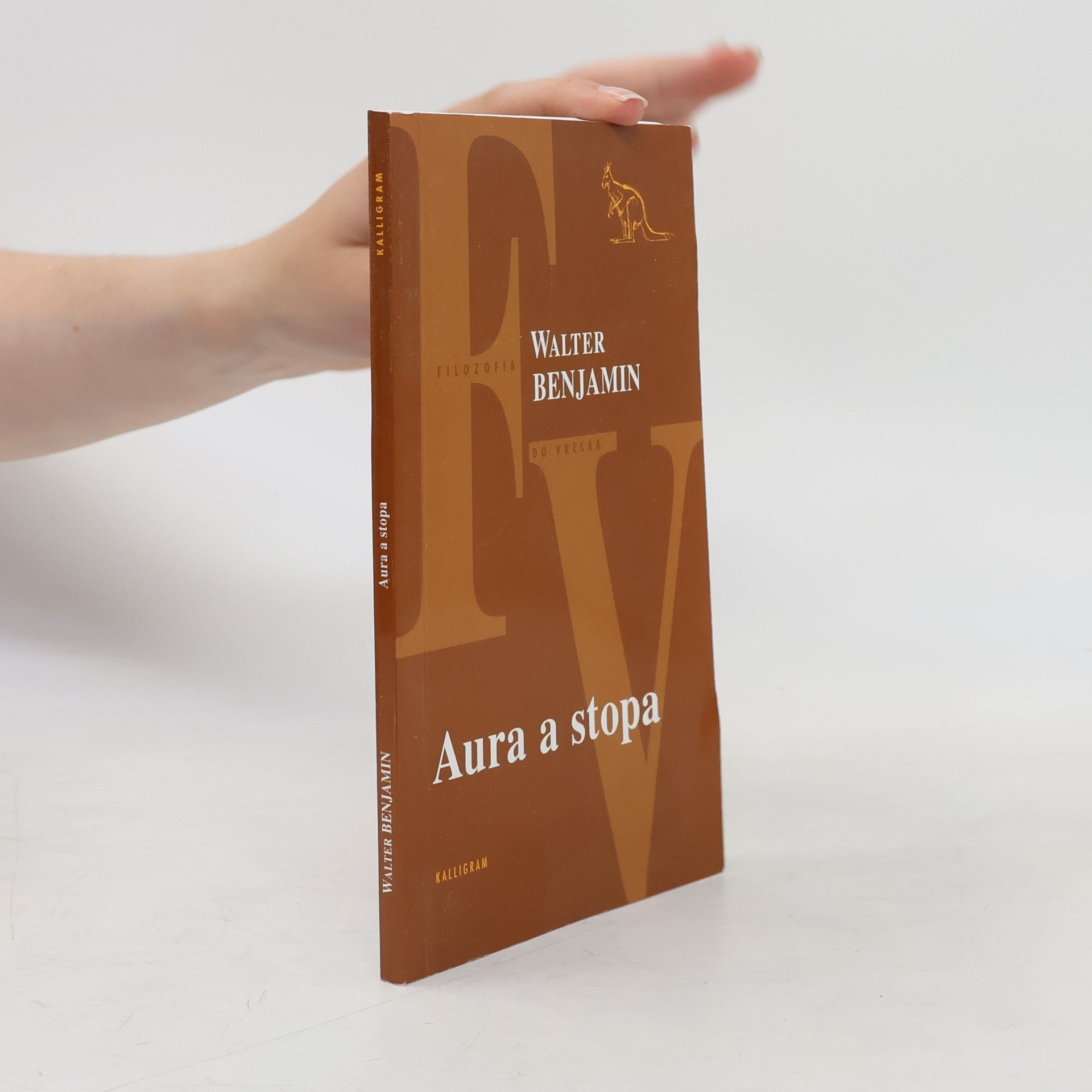 Walter Benjamin Aura a stopa