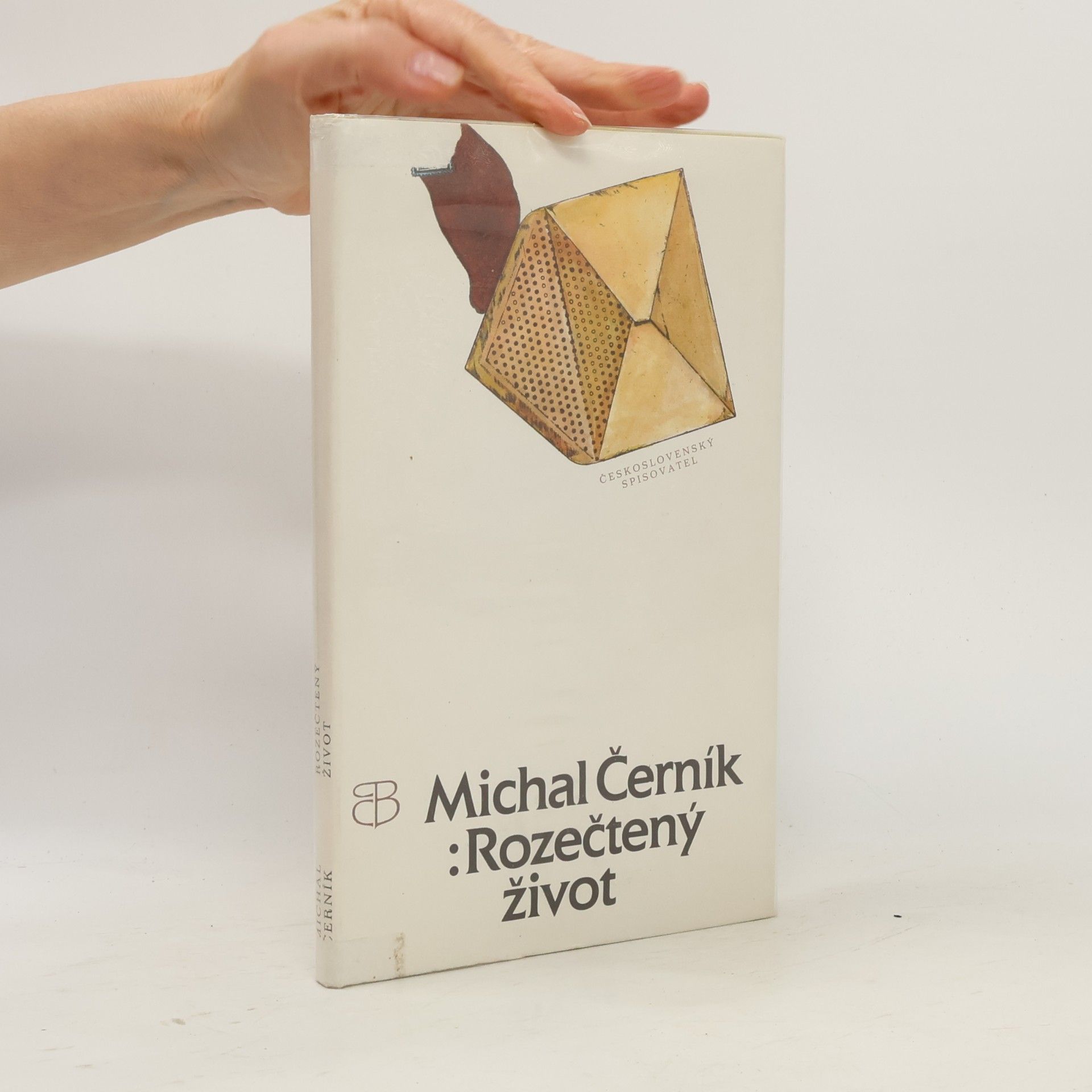 Michal Černík Rozečtený život