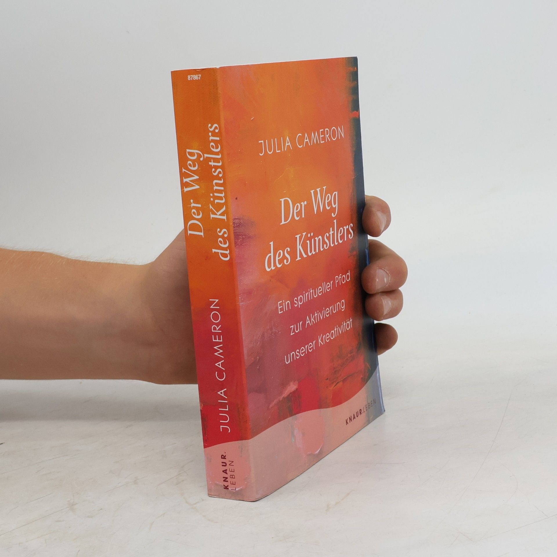 Julia Cameron Der Weg des Künstlers