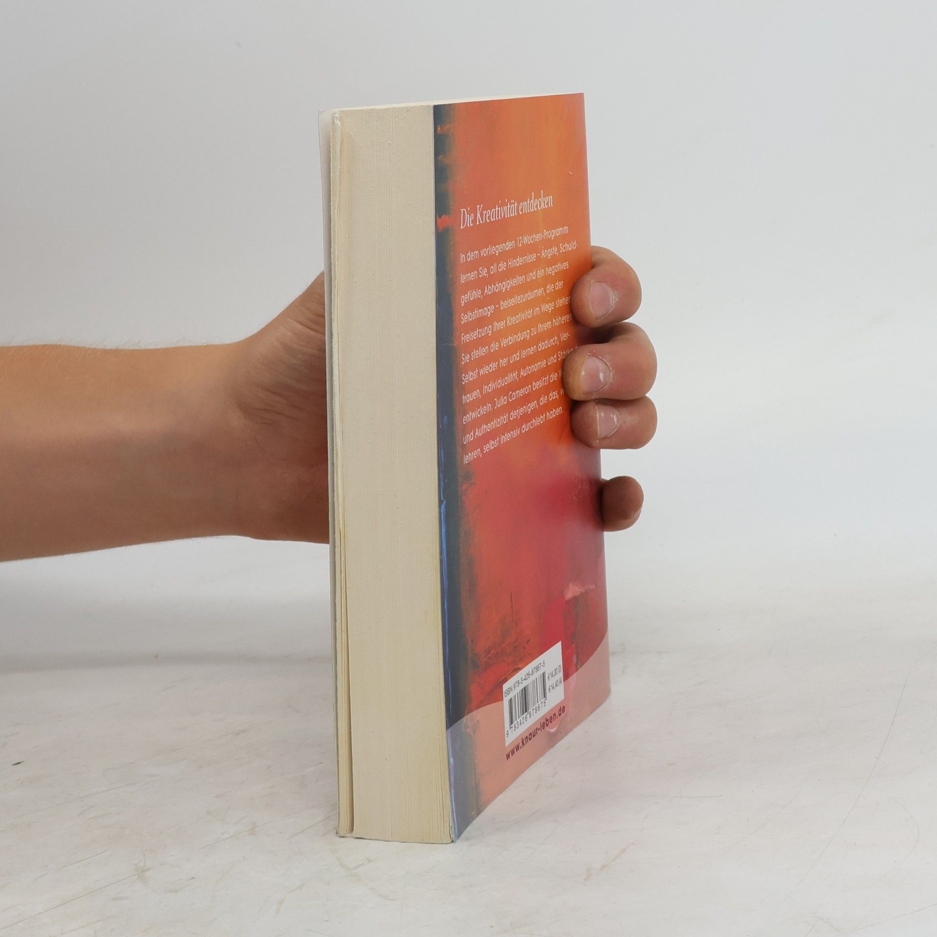 Julia Cameron Der Weg des Künstlers