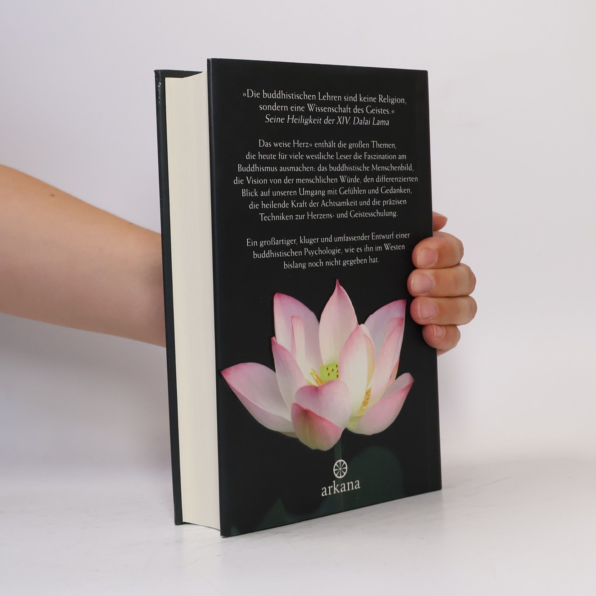 Jack Kornfield Das weise Herz