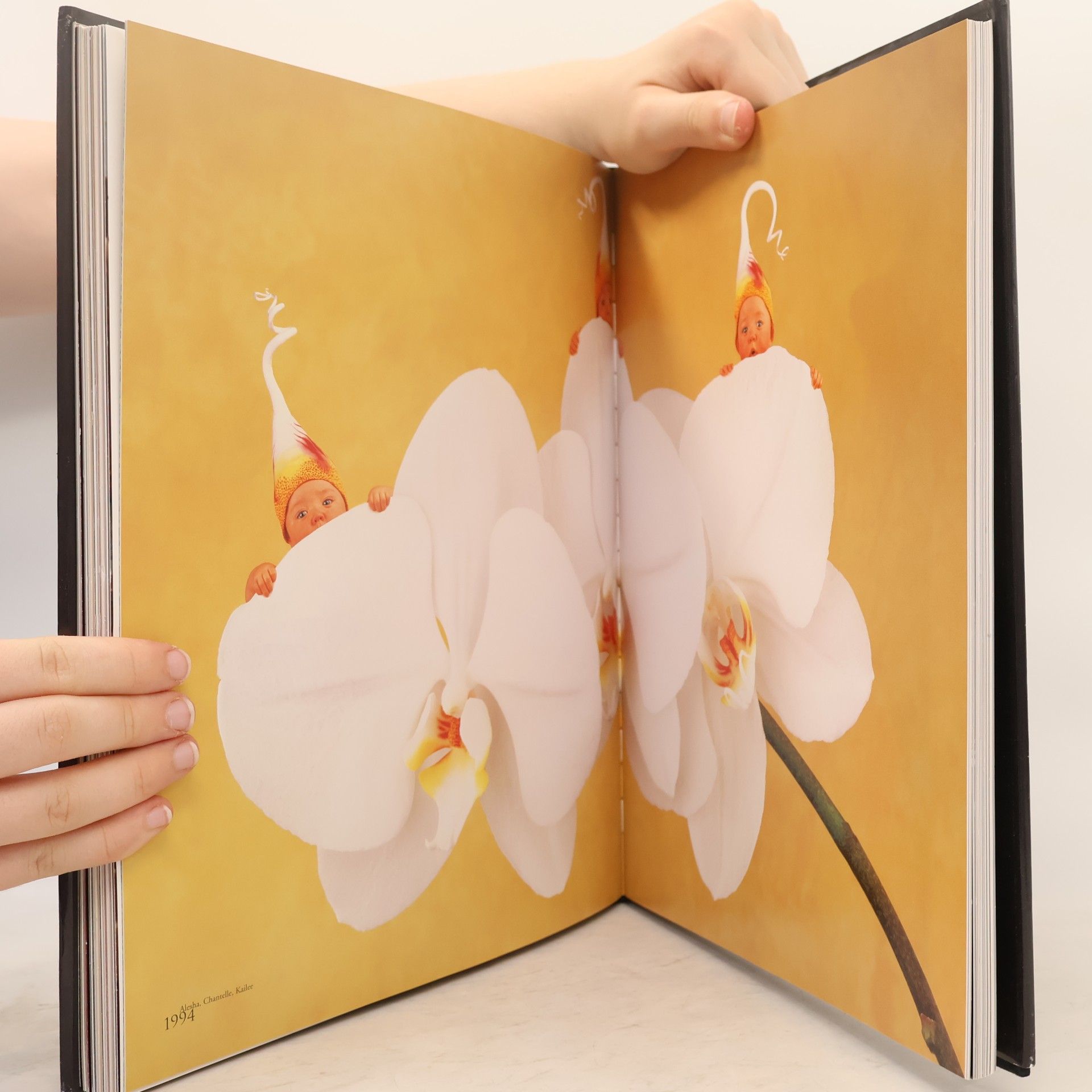 Anne Geddes Willkommen!