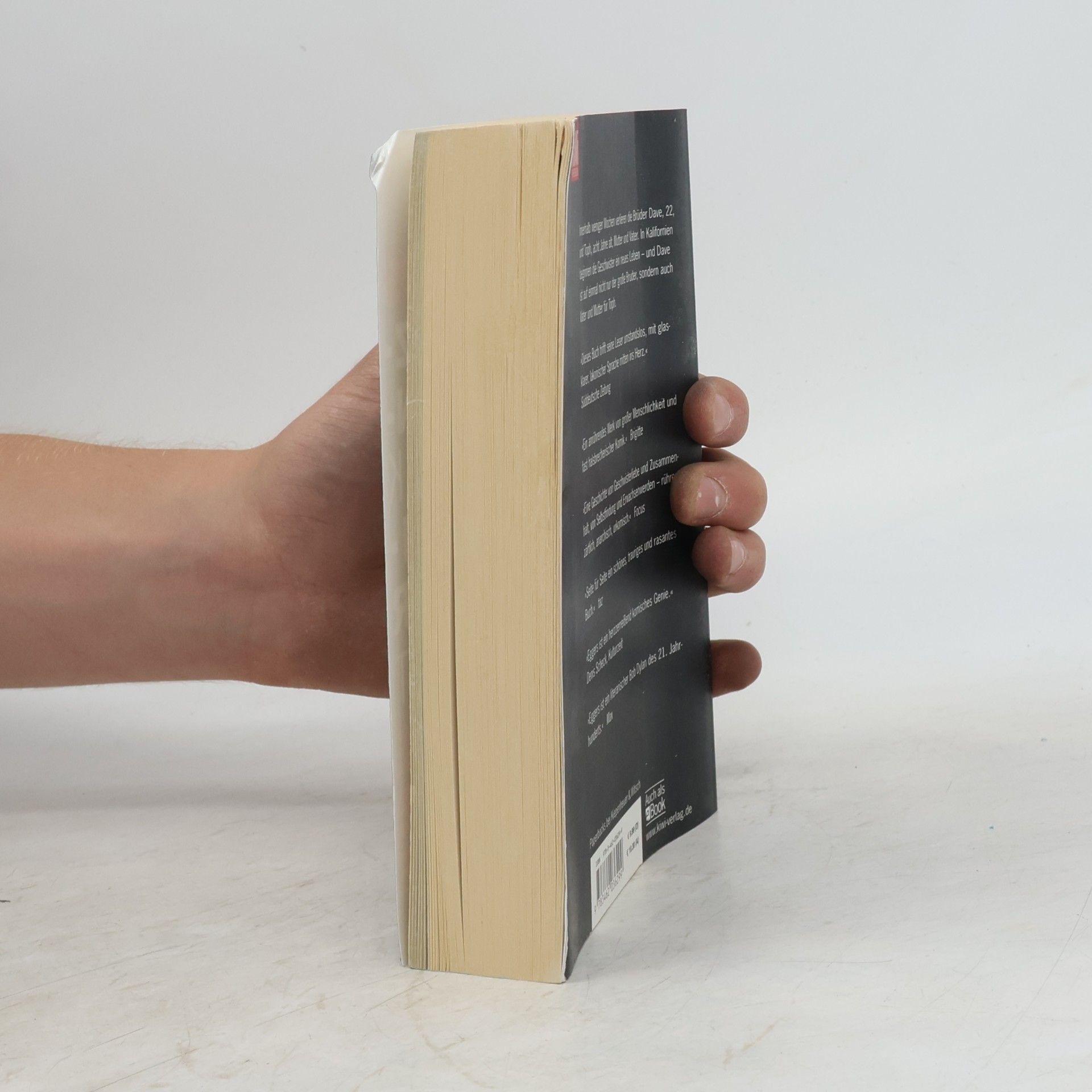 Dave Eggers Ein herzzerreissendes Werk von umwerfender Genialität