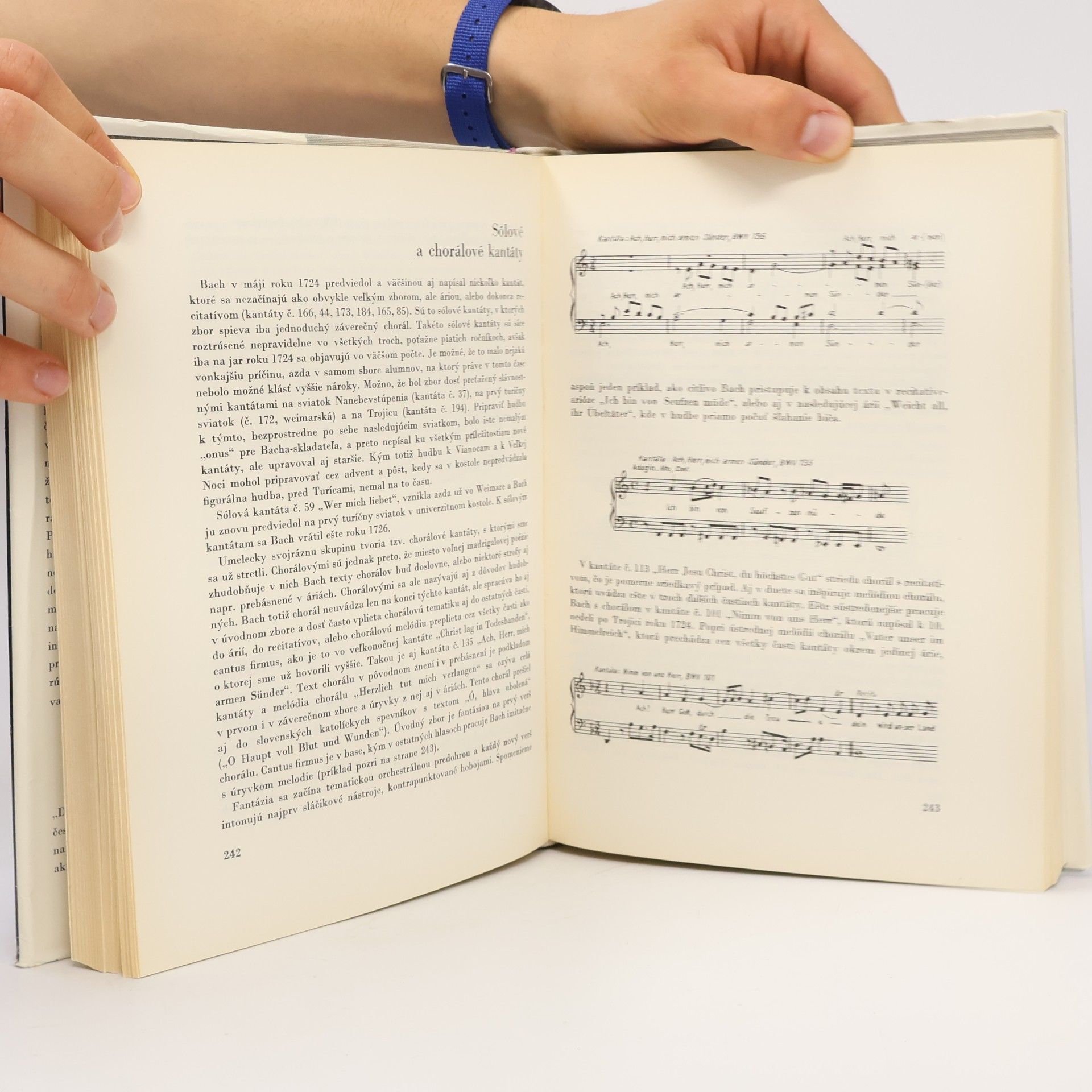 Ernest Zavarský Johann Sebastian Bach