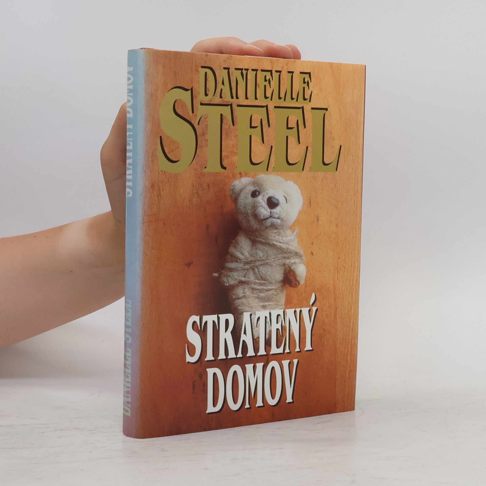 Danielle Steel Stratený domov