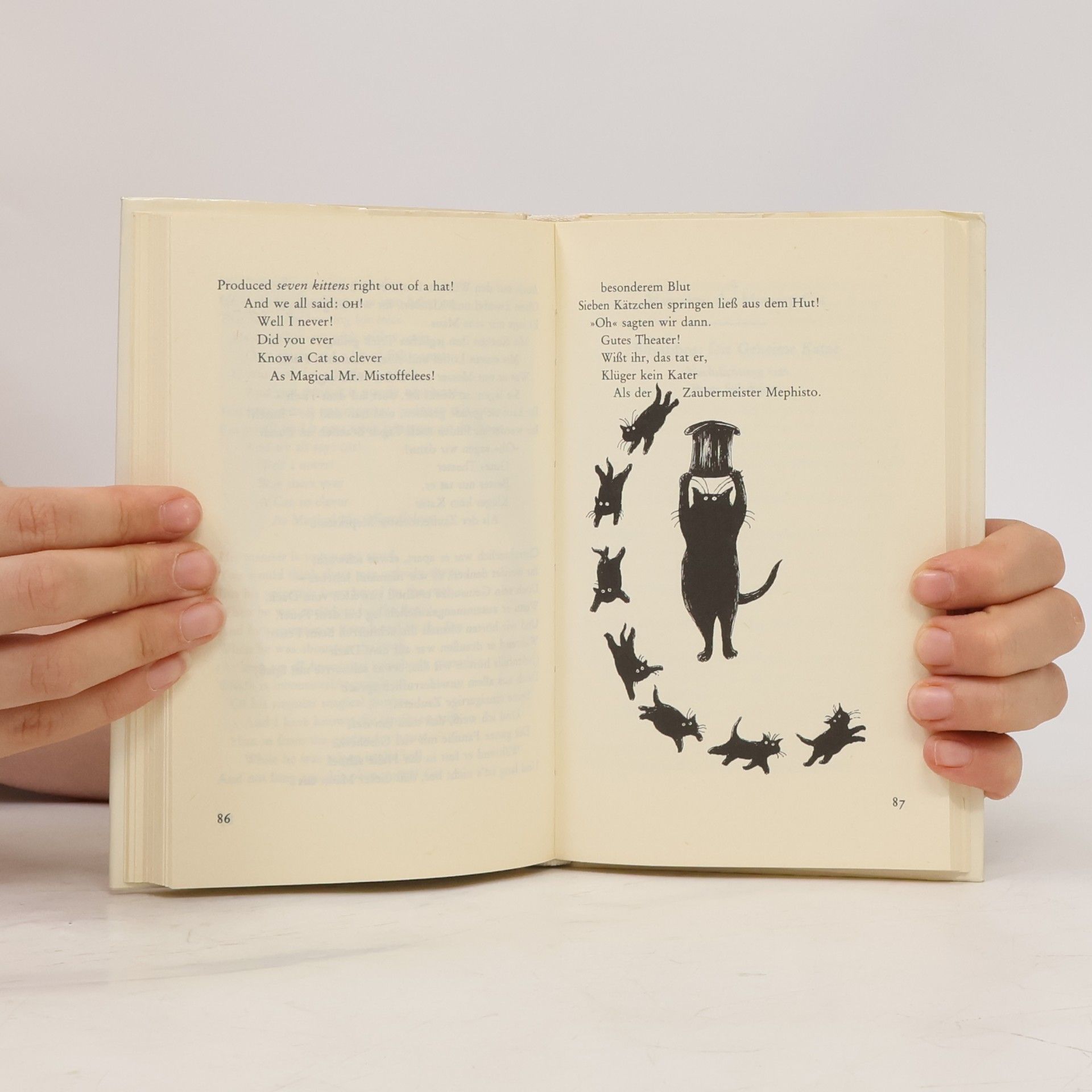 T. S. Eliot Old Possums. Katzenbuch