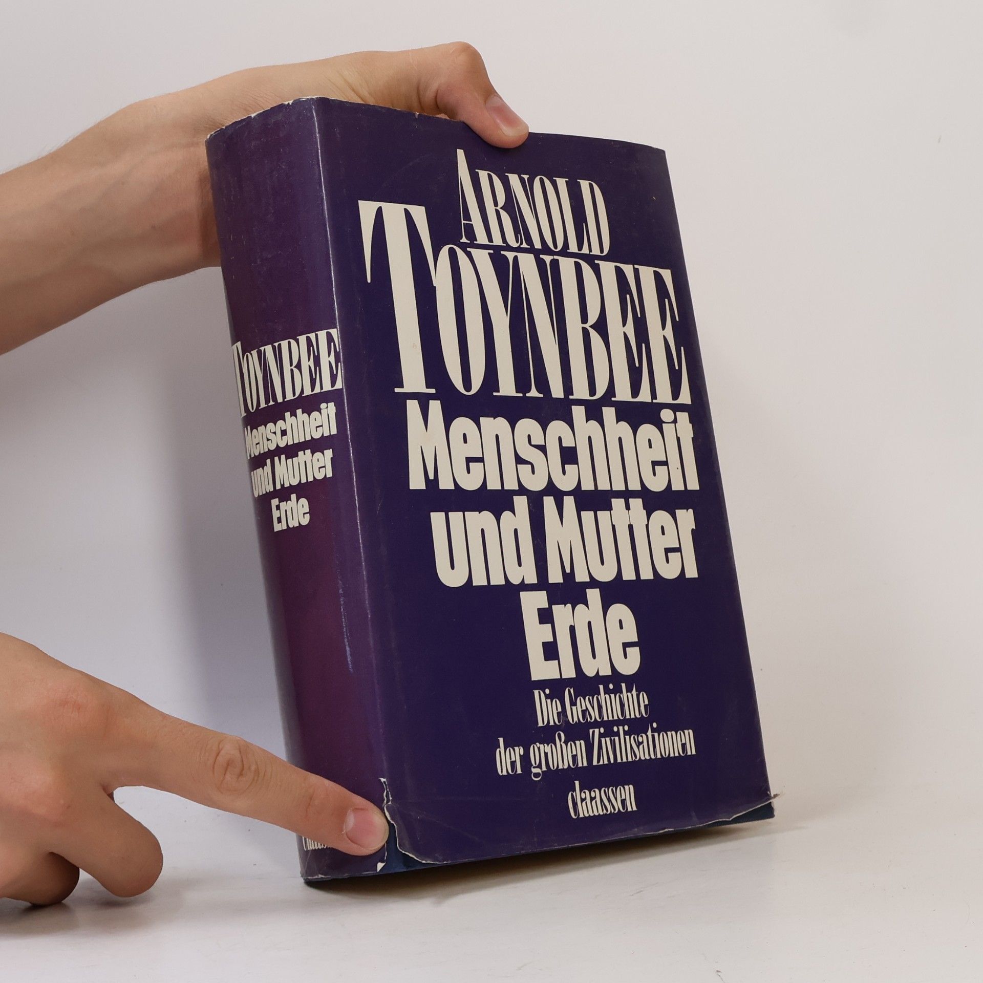 Arnold Joseph Toynbee Menschheit und Mutter Erde