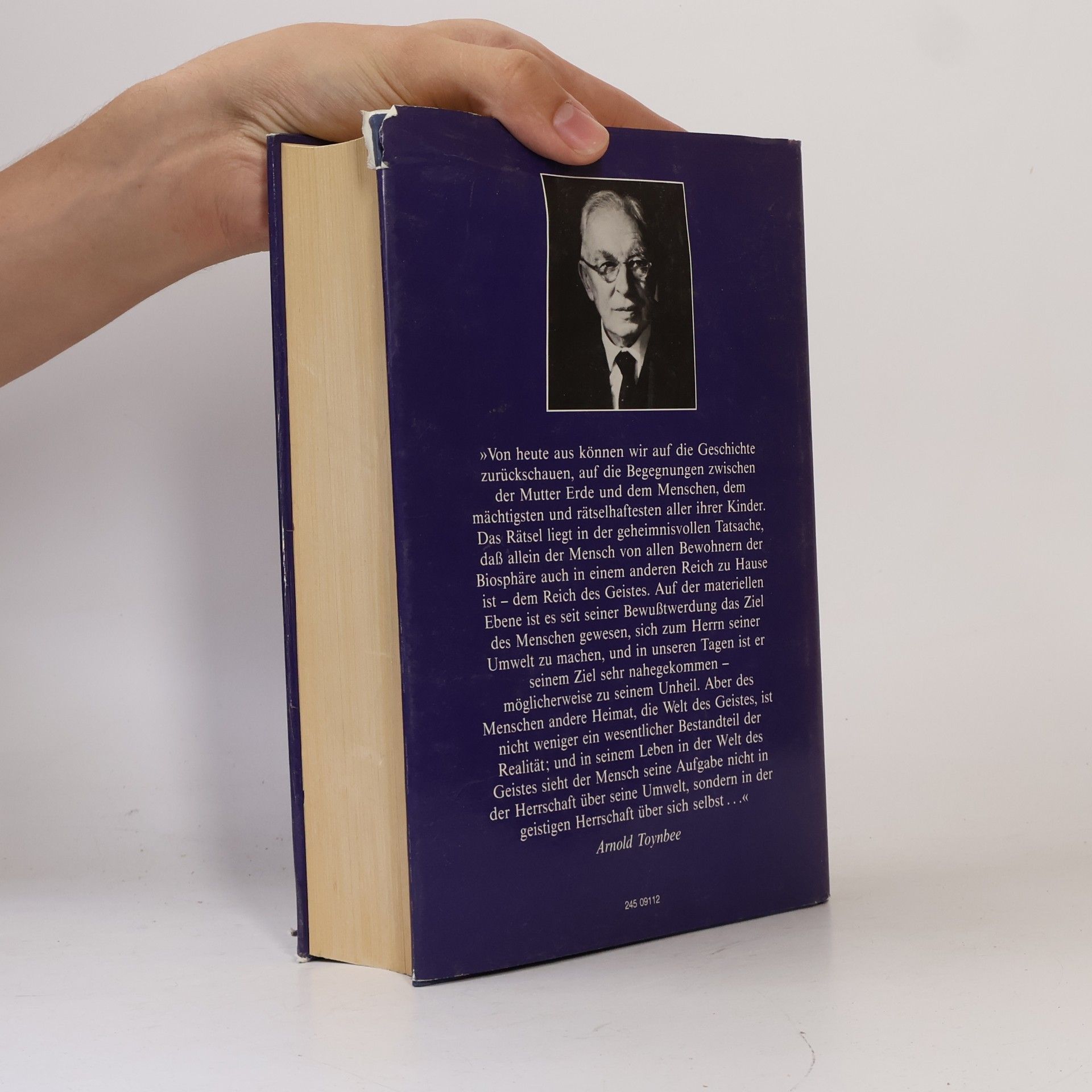 Arnold Joseph Toynbee Menschheit und Mutter Erde