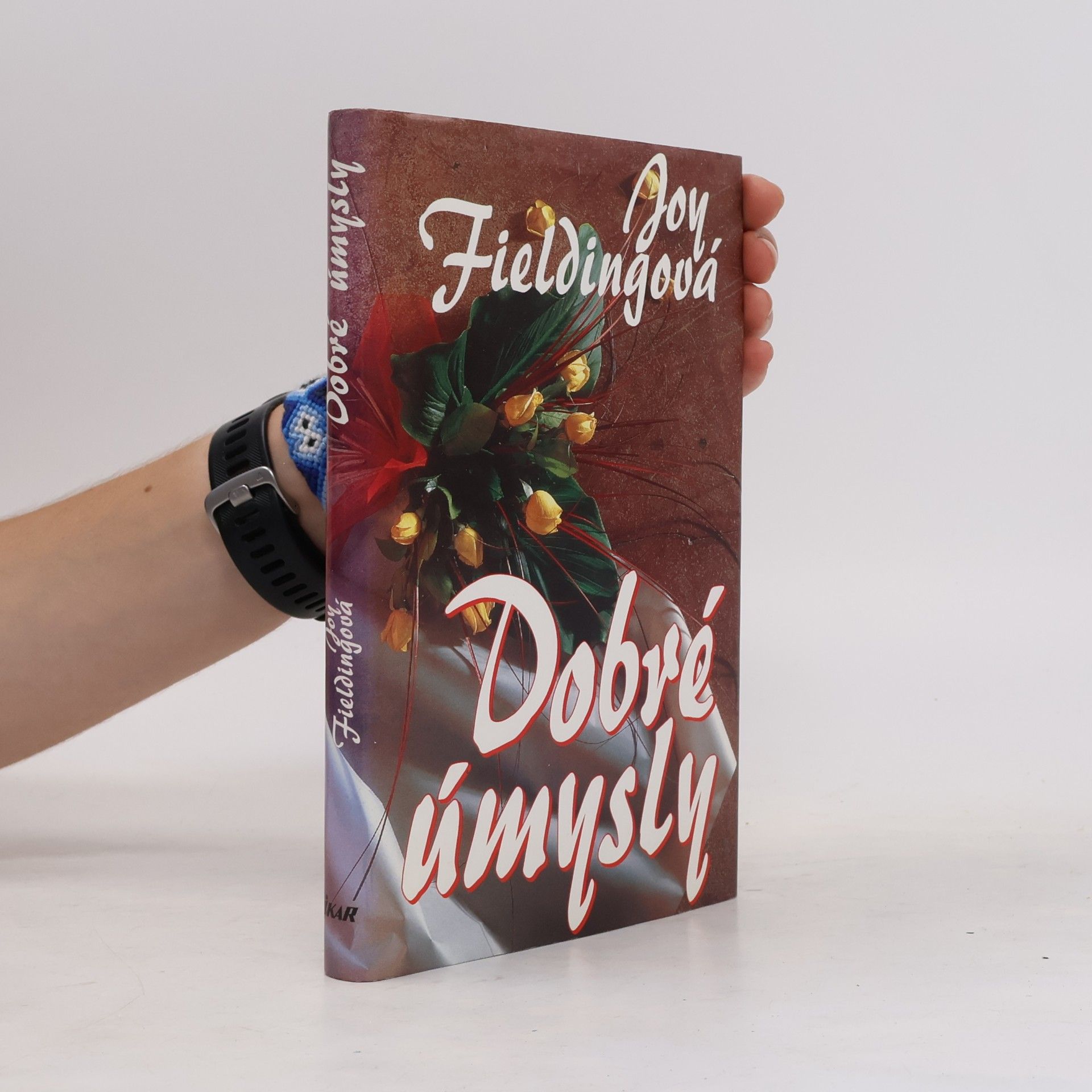 Joy Fielding Dobré úmysly
