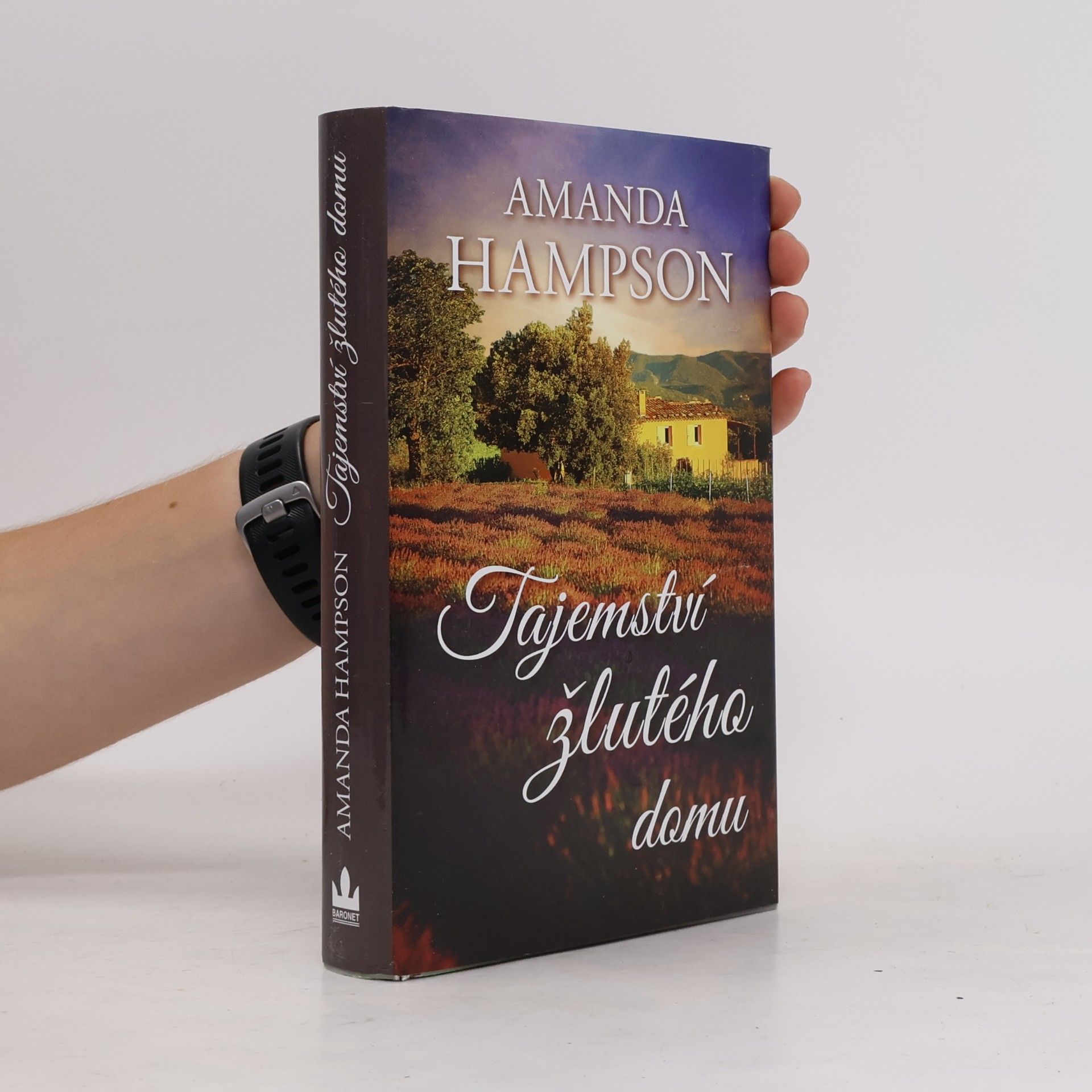 Amanda Hampson Tajemství žlutého domu