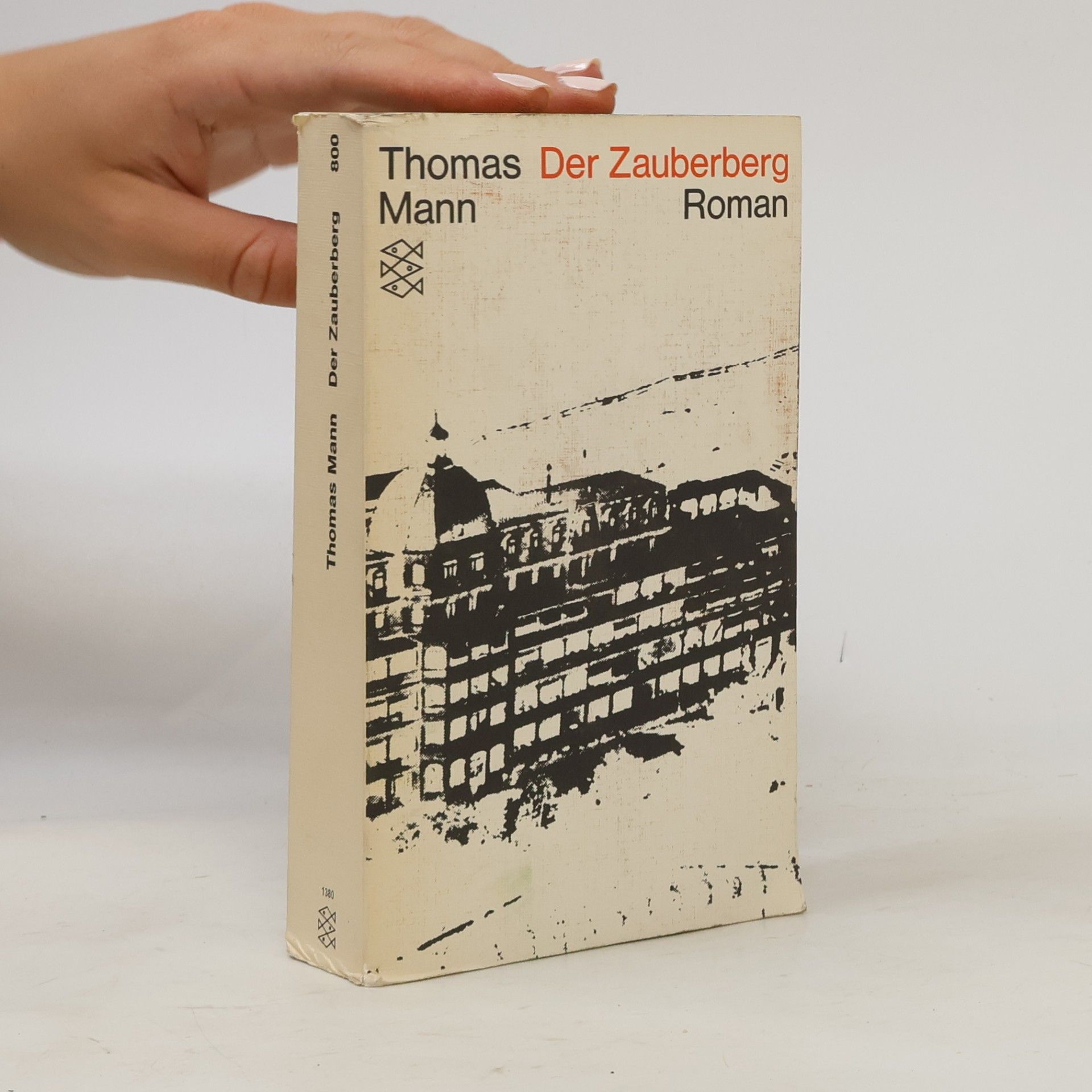 Thomas Mann Der Zauberberg