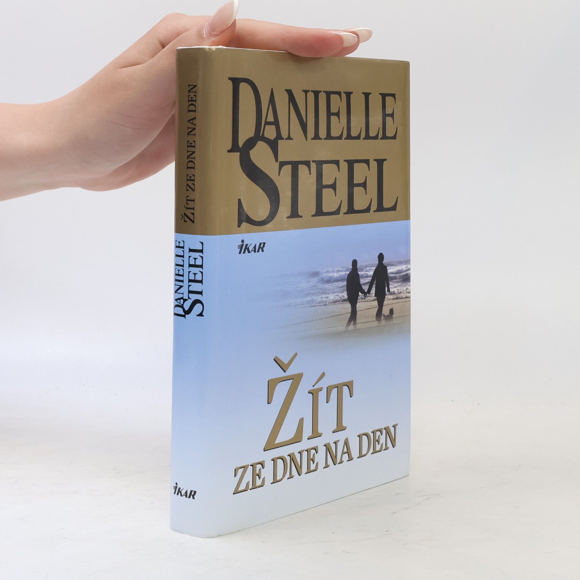 Danielle Steelová Žít ze dne na den