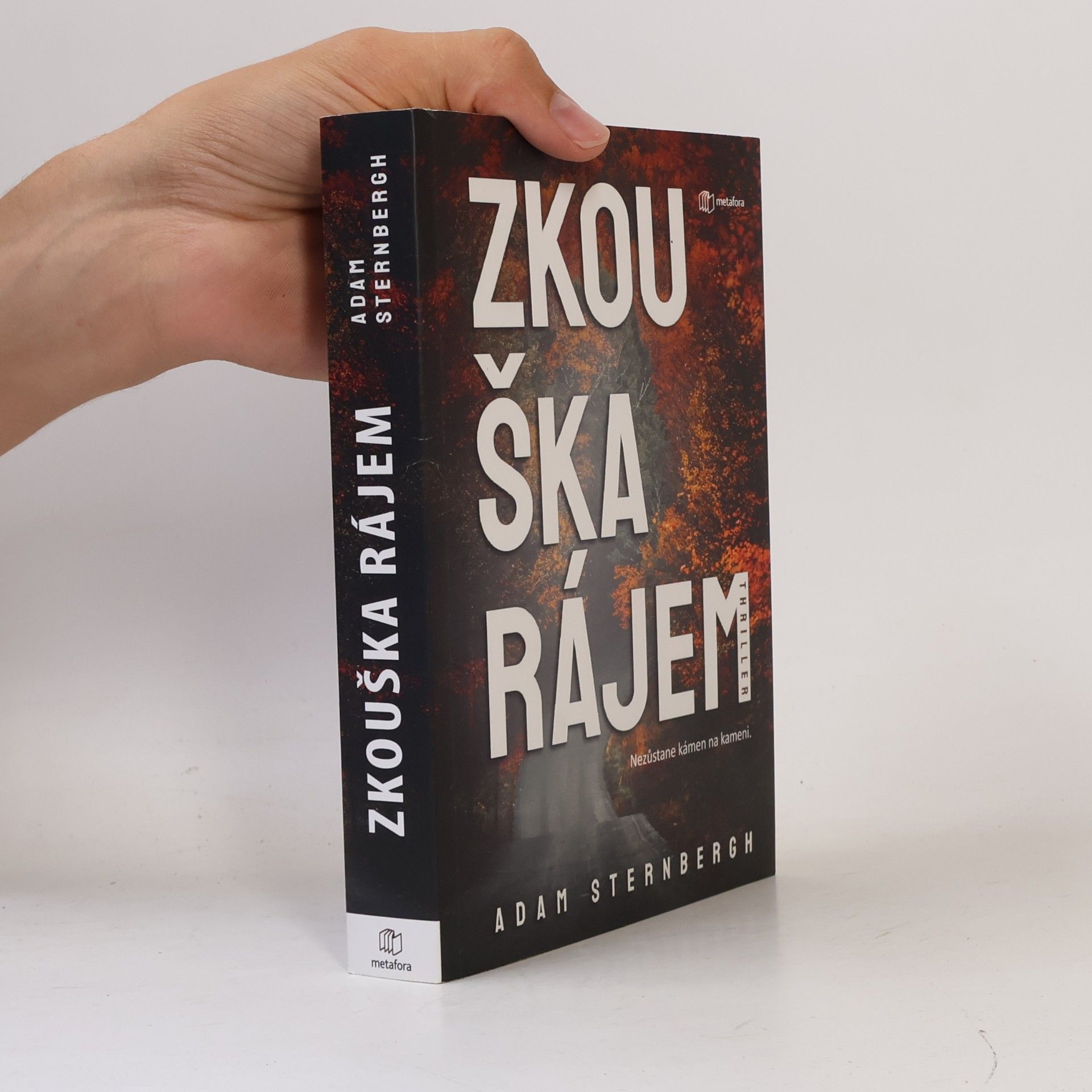 Adam Sternbergh Zkouška rájem