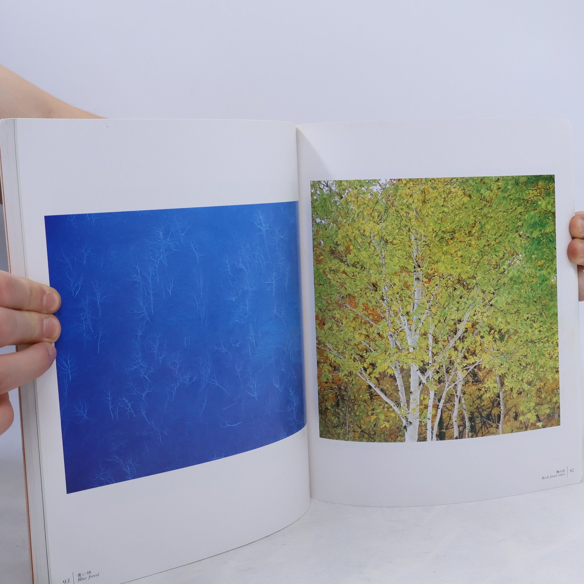 Shinzo Maeda Nature through the Seasons