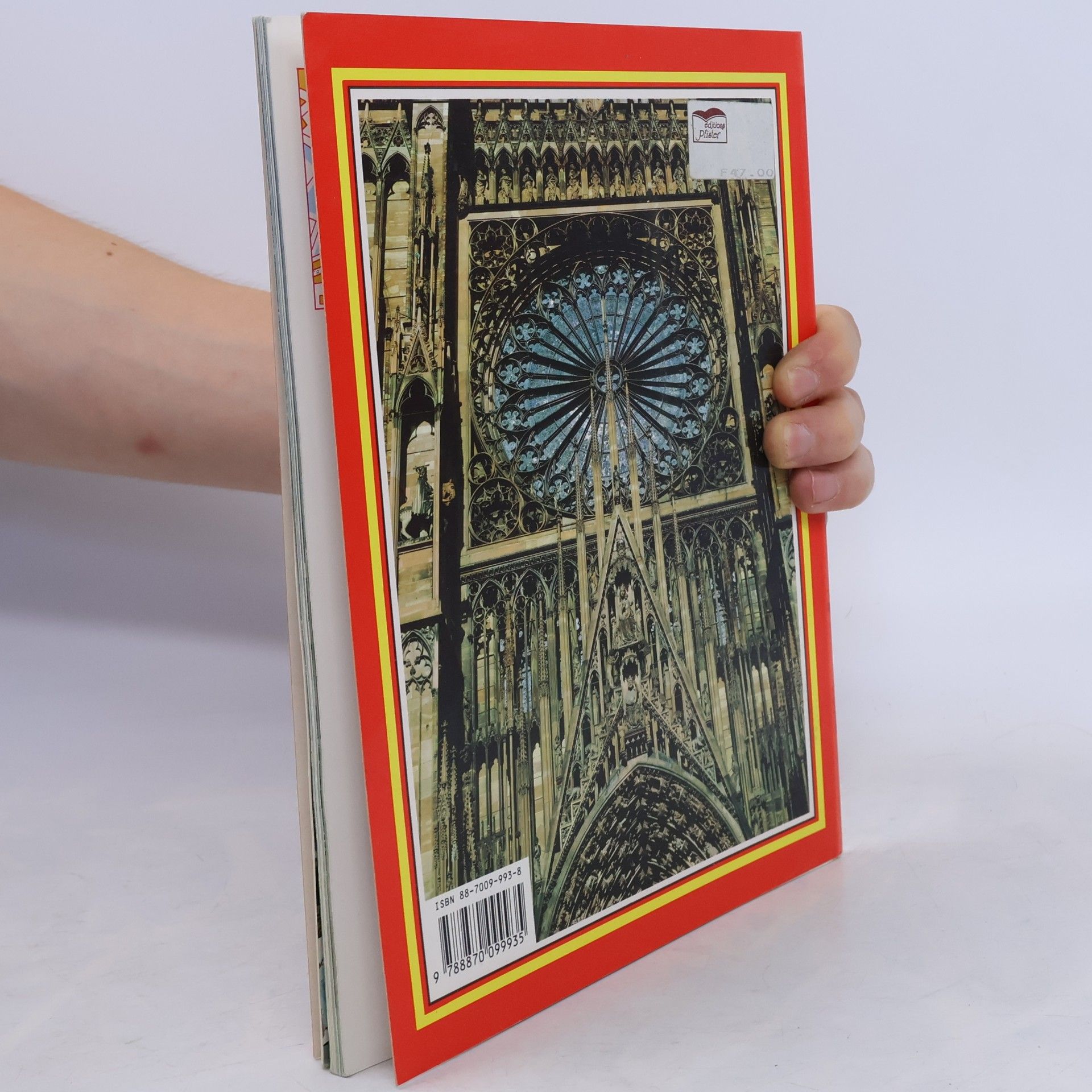 Annamaria Giusti Golden Book of Strasbourg - English Edition