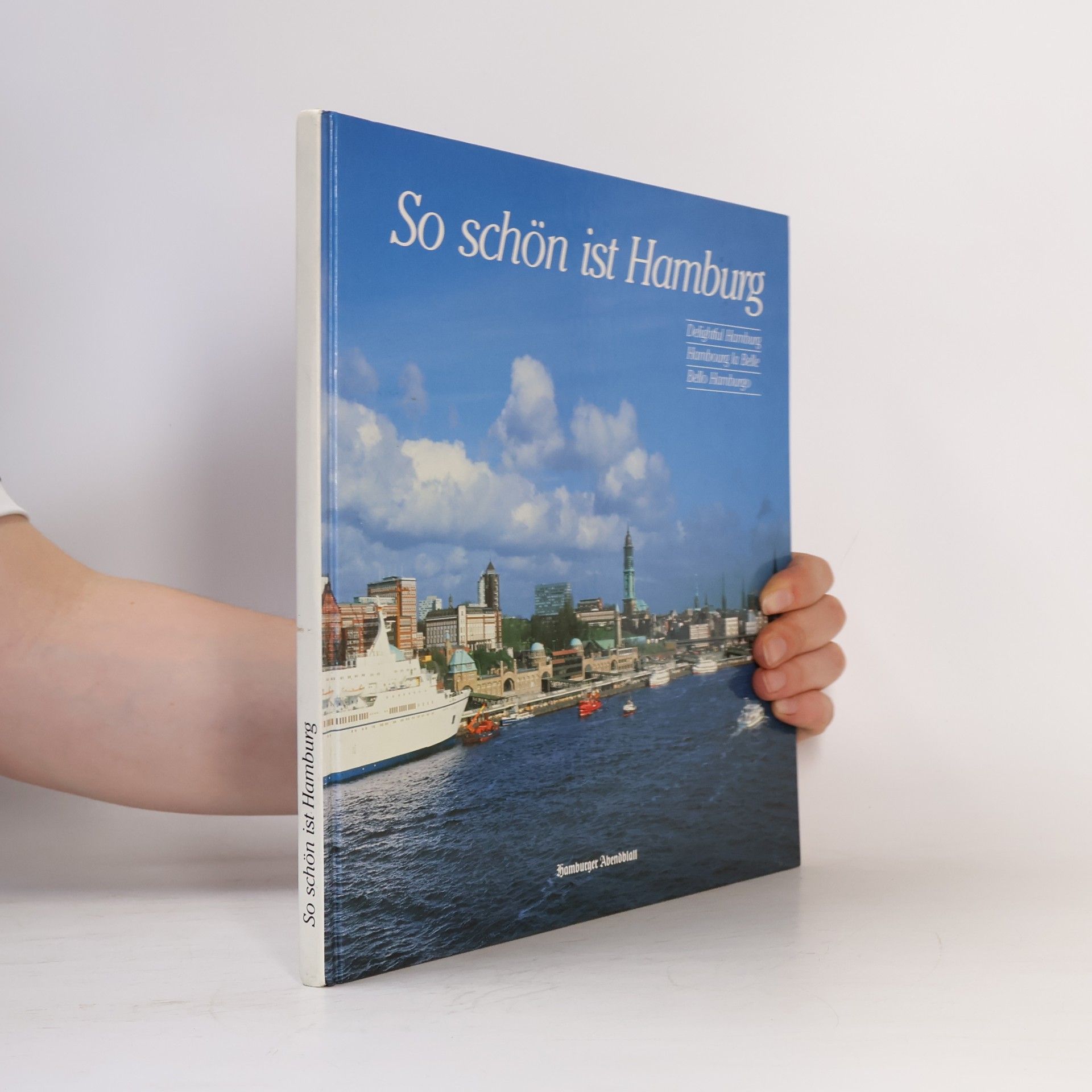 Autorenkollektiv So schön ist Hamburg
