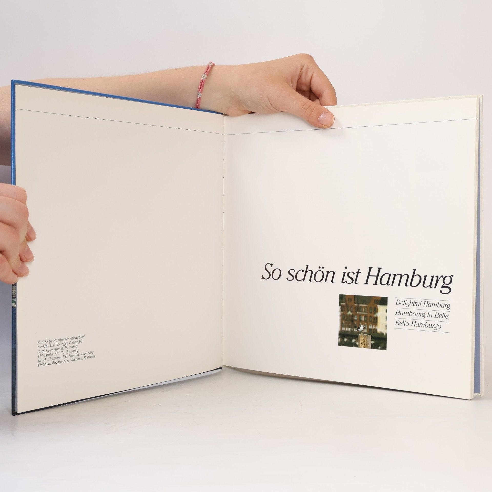 Collectif d'auteurs So schön ist Hamburg
