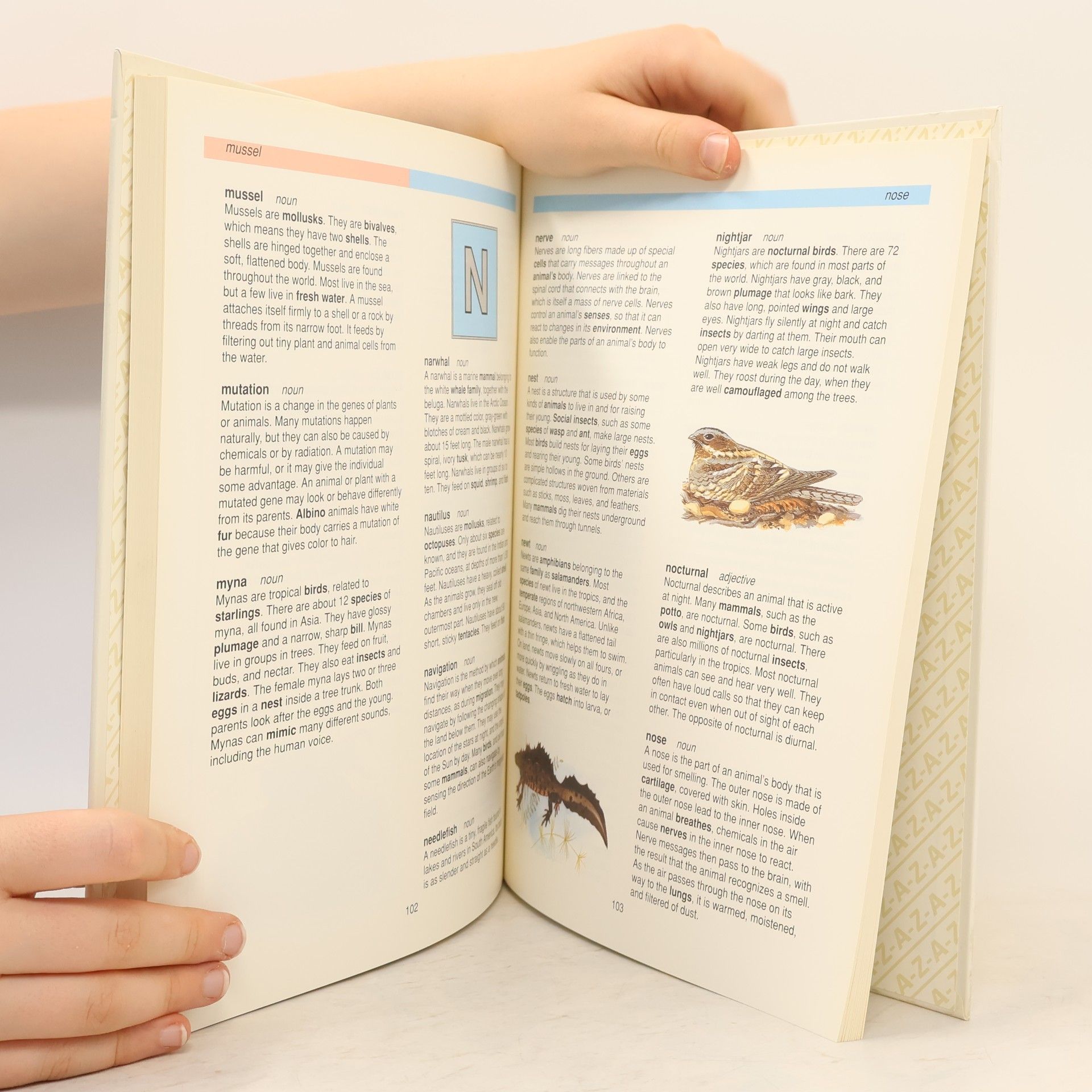 Merilyn Holme Animal Life