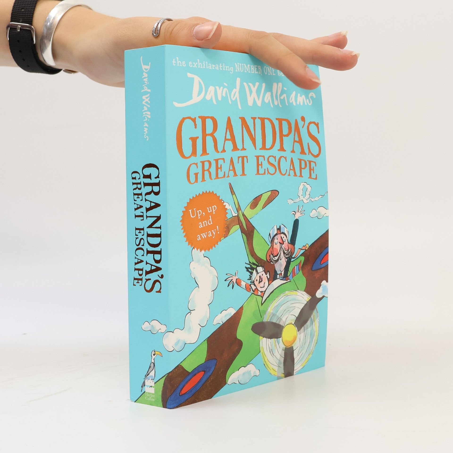 David Walliams Grandpa's Great Escape