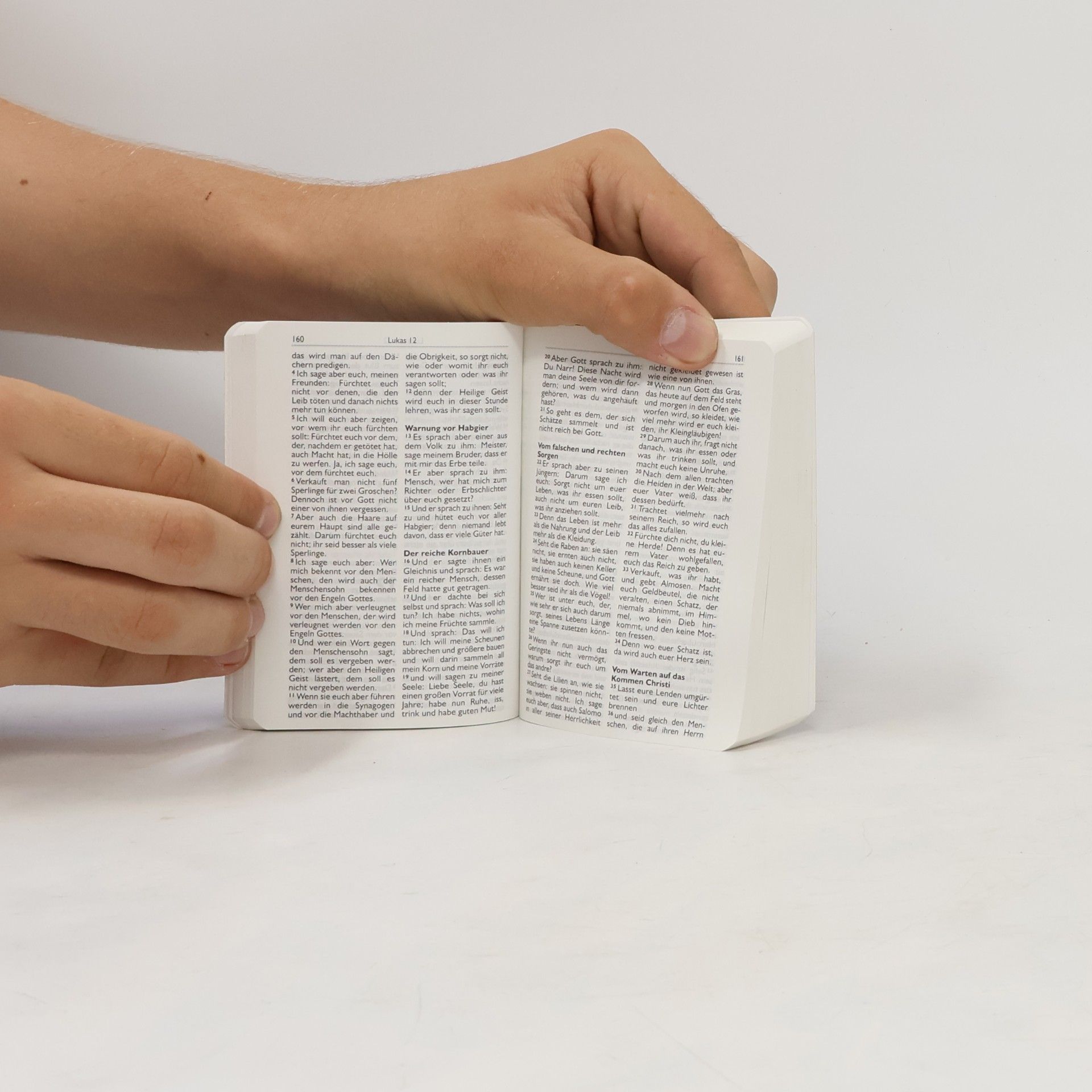 Kolektiv autorů Bibel. Neues Testament mit Psalmen Sprüchen