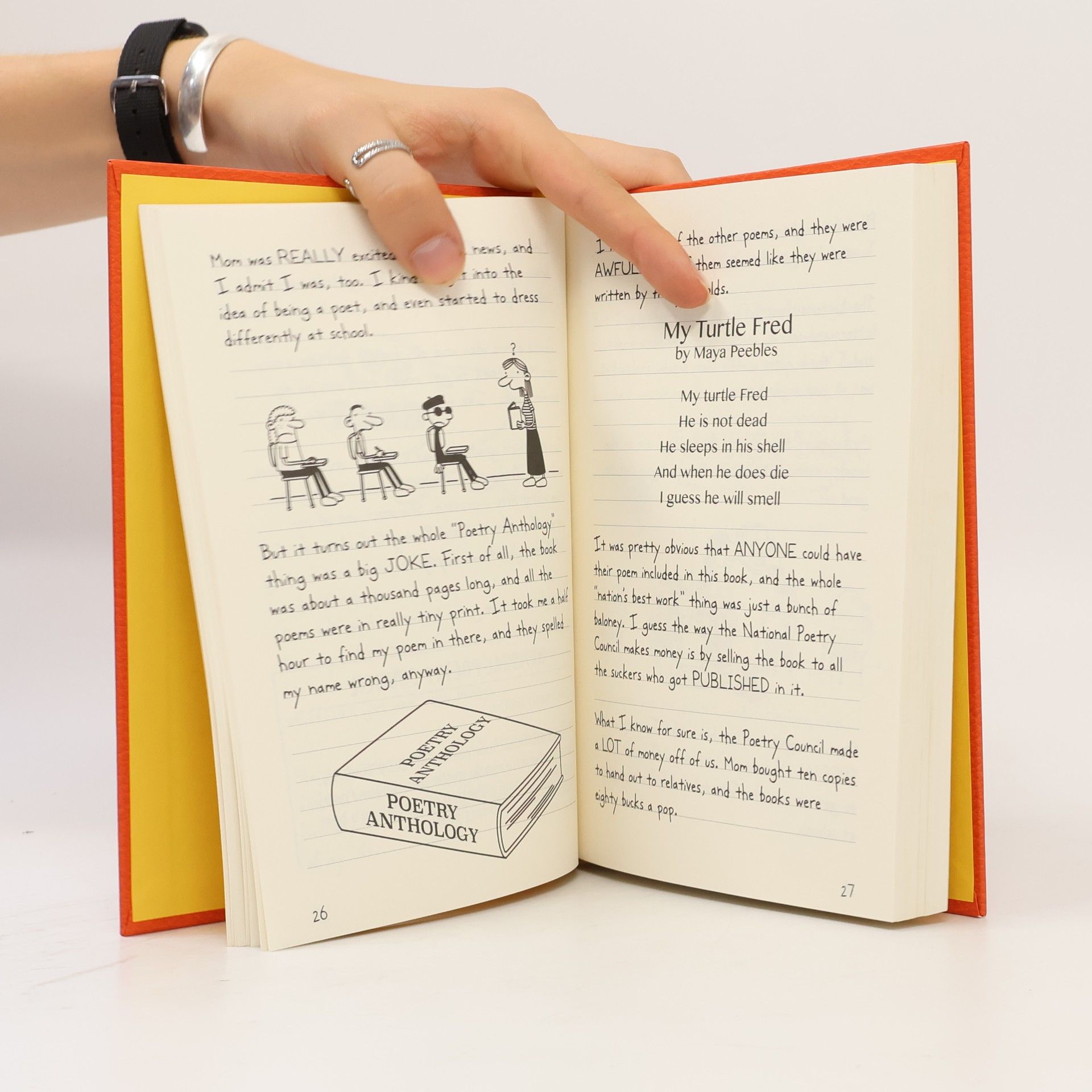Jeff Kinney Diary of a Wimpy Kid. Double Down