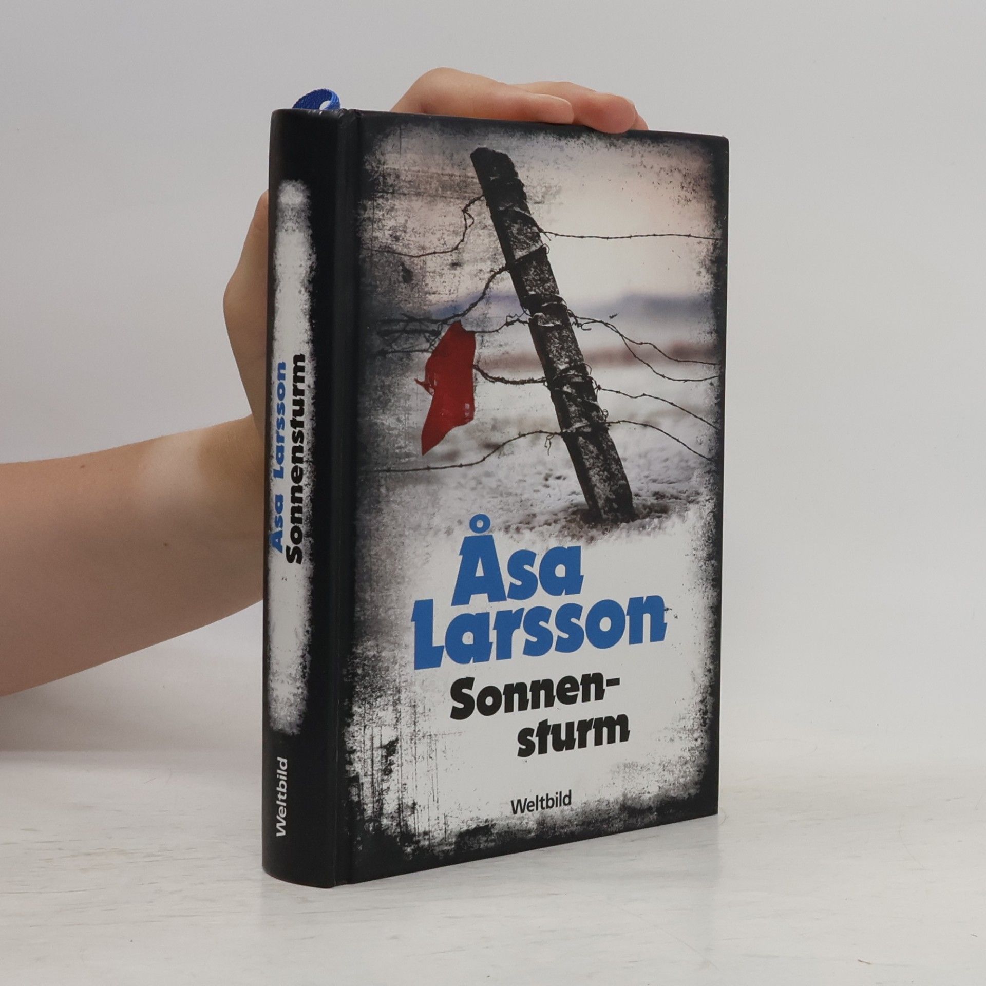 Åsa Larsson Sonnensturm