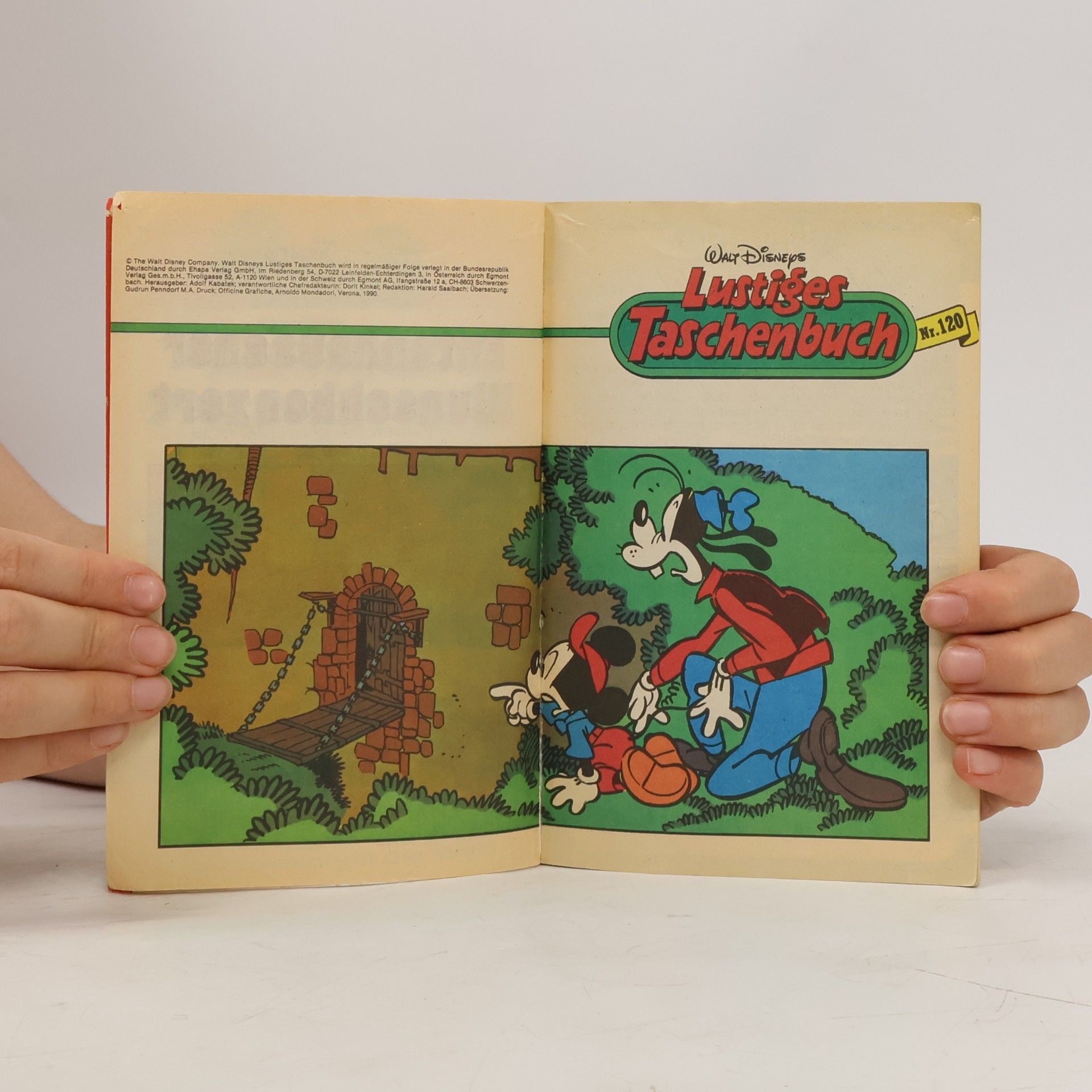 Walt Disney Lustiges Taschenbuch 120. Entenhausener Wunschkonzert